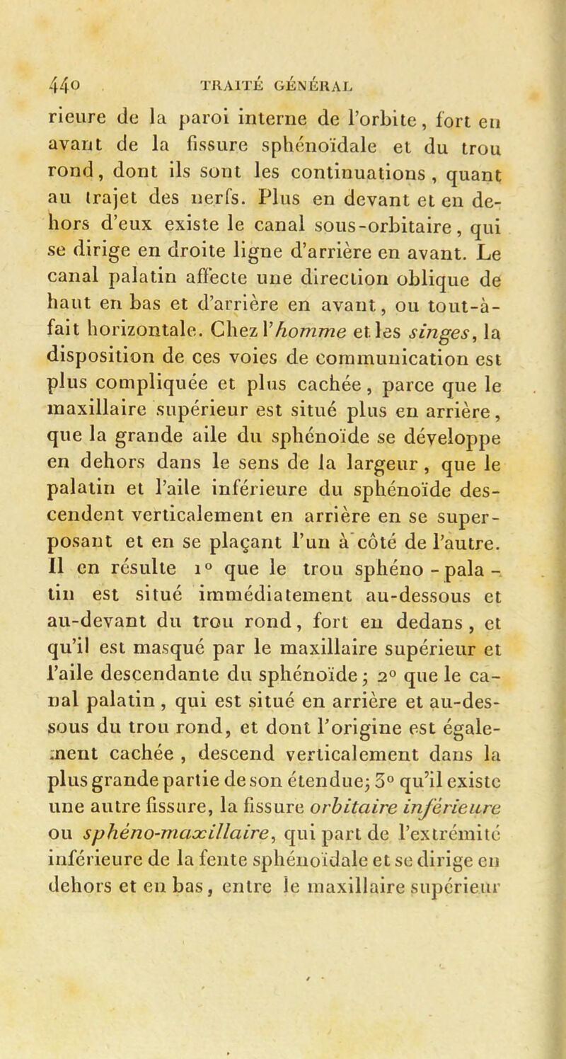 rieiire de la paroi interne de l'orbite, fort en avant de la fissure sphénoïdale et du trou rond, dont ils sont les continuations, quant au irajet des nerfs. Plus en devant et en de-; hors d'eux existe le canal sous-orbitaire, qui se dirige en droite ligne d'arrière en avant. Le canal palatin affecte une direction oblique de haut en bas et d'arrière en avant, ou tout-à- fait horizontale. ChezV homme et les singes, la disposition de ces voies de communication est plus compliquée et plus cachée, parce que le maxillaire supérieur est situé plus en arrière, que la grande aile du sphénoïde se développe en dehors dans le sens de la largeur, que le palatin et l'aile inférieure du sphénoïde des- cendent verticalement en arrière en se super- posant et en se plaçant l'un à'côté de l'autre. Il en résulte que le trou sphéno - pala- lin est situé immédiatement au-dessous et au-devant du trou rond, fort en dedans , et qu'il est masqué par le maxillaire supérieur et l'aile descendante du sphénoïde ; 2° que le ca- nal palatin , qui est situé en arrière et au-des- sous du trou rond, et dont l'origine est égale- ment cachée , descend verticalement dans la plus grande partie de son étendue^ 3° qu'il existe une autre fissure, la fissure orbitaire inférieure ou sphéno-maxillaire^ qui part de l'extrémité inférieure de la fente sphénoïdale et se dirige en dehors et en bas, entre le maxillaire supérieur