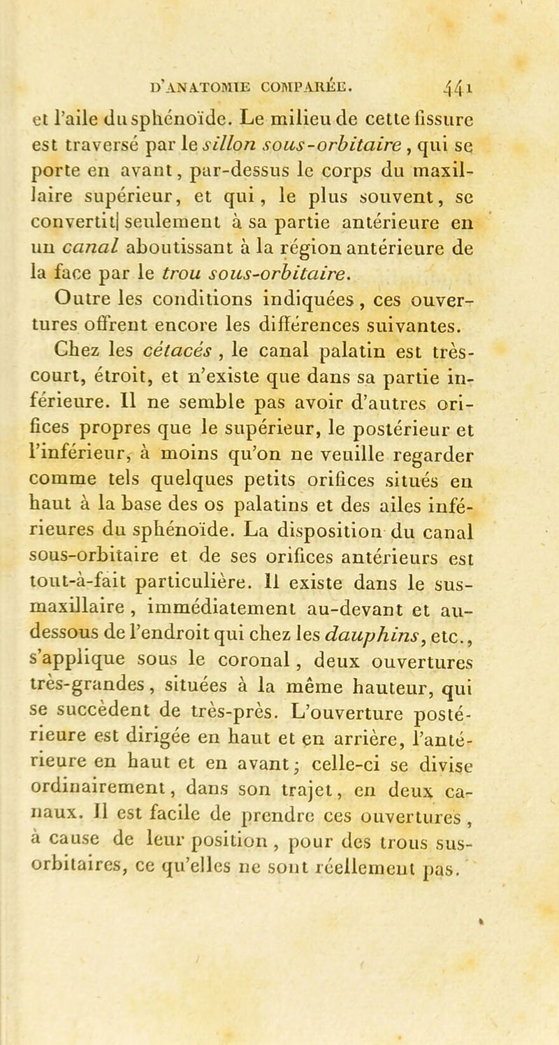 et l'aile dusphénoïde. Le milieu de cette fissure est traversé par le sillon sous-orbitaire, qui se porte en avant, par-dessus le corps du maxil- laire supérieur, et qui, le plus souvent, se convertiti seulement à sa partie antérieure en un canal aboutissant à la région antérieure de la face par le trou sous-orbitaire. Outre les conditions indiquées, ces ouver- tures offrent encore les différences suivantes. Chez les cétacés , le canal palatin est très- court, étroit, et n'existe que dans sa partie in- férieure. 11 ne semble pas avoir d'autres ori- fices propres que le supérieur, le postérieur et l'inférieur, à moins qu'on ne veuille regarder comme tels quelques petits orifices situés eu haut à la base des os palatins et des ailes infé- rieures du sphénoïde. La disposition du canal sous-orbitaire et de ses orifices antérieurs est tout-à-fait particulière. 11 existe dans le sus- maxillaire , immédiatement au-devant et au- dessous de l'endroit qui chez les dauphins, etc., s'applique sous le coronal, deux ouvertures très-grandes, situées à la même hauteur, qui se succèdent de très-près. L'ouverture posté- rieure est dirigée en haut et en arrière, l'anté- rieure en haut et en avant • celle-ci se divise ordinairement, dans son trajet, en deux ca- naux. 11 est facile de prendre ces ouvertures, à cause de leur position , pour des trous sus- orbilaires, ce qu'elles ne sont réellement pas.