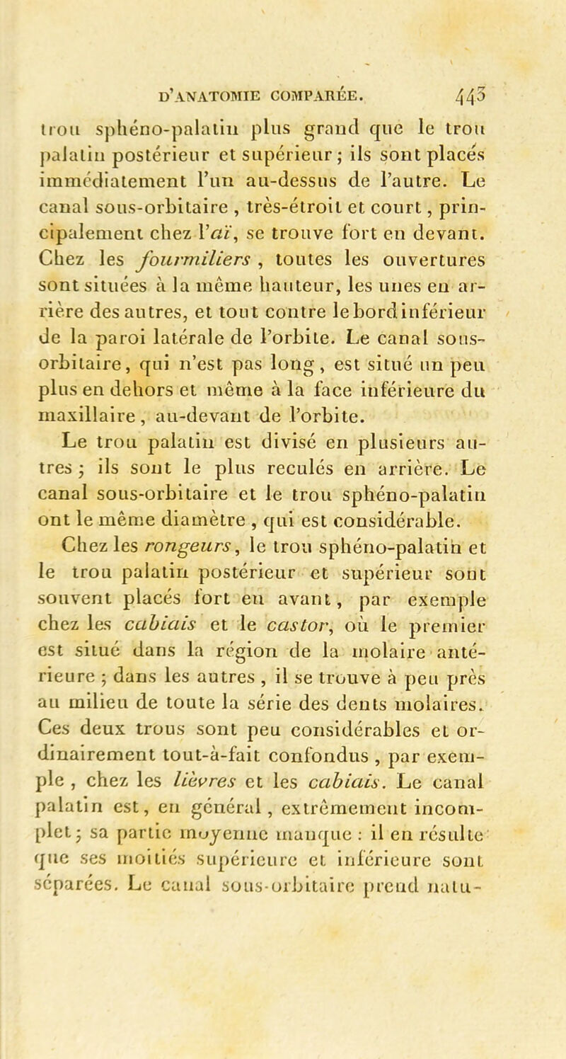 iroii sphéno-palaliii plus graud que le trou paJalin postérieur et supérieur; ils sont places immédiatement l'un au-dessus de l'autre. Le canal sous-orbitaire , très-étroit et court, prin- cipalement chez Vaï, se trouve fort en devant. Cbez les fourmiliers , toutes les ouvertures sont situées à la même hauteur, les unes eu ar- rière des autres, et tout contre le bord inférieur ' de la paroi latérale de l'orbite. Le canal sous- orbitaire, qui n'est pas long, est situé un peu plus en dehors et même à la face inférieure du maxillaire, au-devant de l'orbite. Le trou palatin est divisé en plusieurs au- tres 3 ils sont le plus reculés en arrière. Lé canal sous-orbitaire et le trou sphéno-palatin ont le même diamètre , qui est considérable. Chez les rongeurs, le trou sphéno-palatin et le trou palatin postérieur et supérieur sont souvent placés fort eu avant, par exemple chez les cahiais et le castor, où le premier est situé dans la région de la molaire anté- rieure ; dans les autres , il se trouve à peu près au milieu de toute la série des dents molaires. Ces deux trous sont peu considérables et or- dinairement lout-à-fait confondus , par exem- ple , chez les lièvres et les cahiais. Le canal palatin est, en général, extrêmement incom- plet • sa partie rnuyenue manque : il en résulte que ses moitiés supérieure et inférieure sont séparées. Le canal sous-orbitaire prend natu-