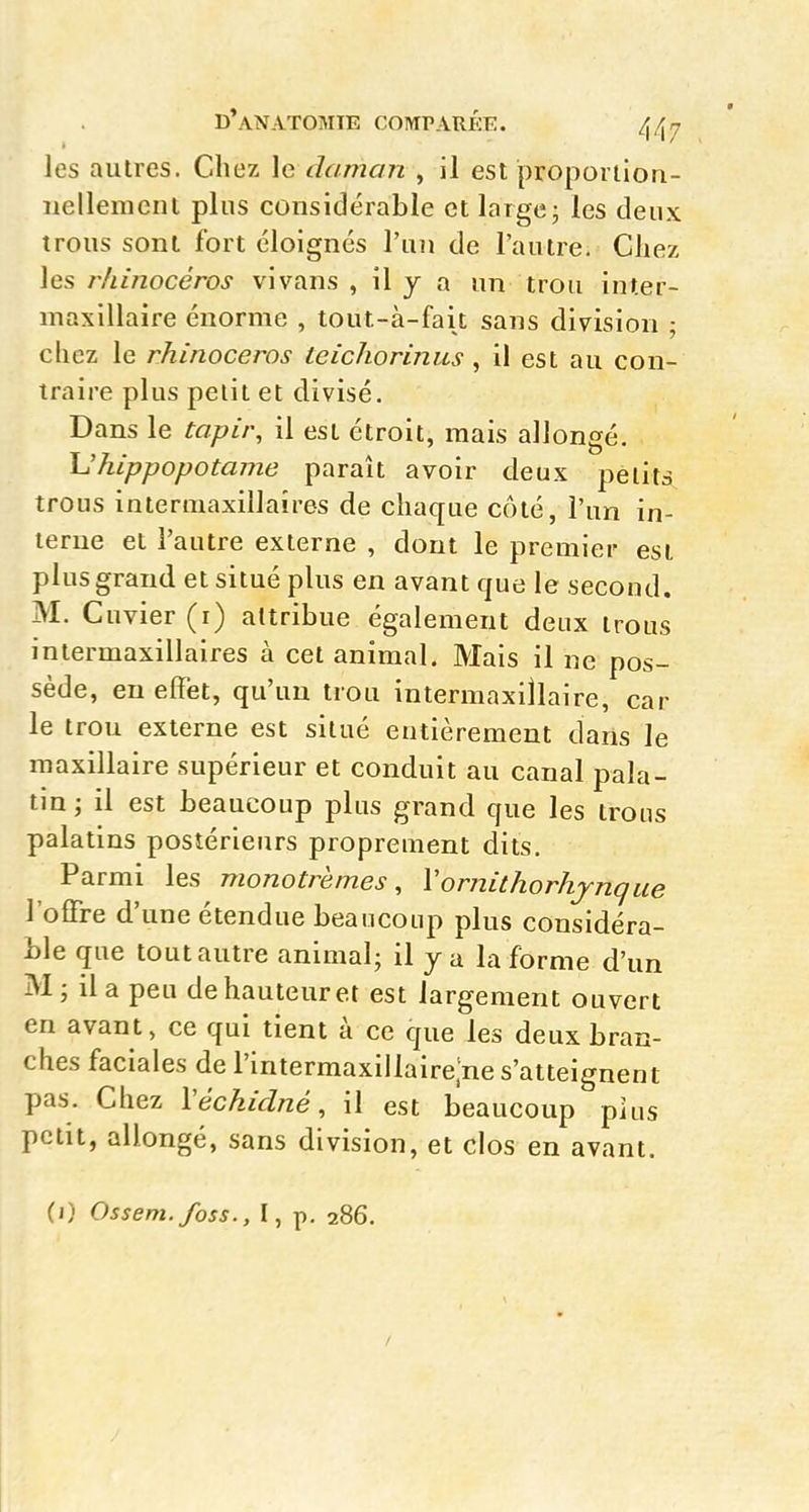 les autres. Chez \c daman , il est proportion- nellement plus considérable et large; les deux trous sont fort éloignes l'un de l'autre. Chez les rhinocéros vivans , il y a un trou inter- maxillaire énorme , tout-à-fait sans division ; chez le rhinocéros teichorinus , il est au con- traire plus petit et divisé. Dans le tapir, il est étroit, mais allongé. L'hippopotame paraît avoir deux petits trous interiuaxillaires de chaque côté, l'un in- terne et l'autre externe , dont le premier est plus grand et situé plus en avant que le second. M. Cuvier (i) attribue également deux trous intermaxillaires à cet animal. Mais il ne pos- sède, en elFet, qu'un trou intermaxiîlaire, car le trou externe est situé entièrement dans le maxillaire supérieur et conduit au canal pala- tin; il est beaucoup plus grand que les trous palatins postérieurs proprement dits. Parmi les monotrèmes , Vornithorhjnqne l'offre d'une étendue beaucoup plus considéra- ble que tout autre animal; il y a la forme d'un M; il a peu dehauteuret est largement ouvert en avant, ce qui tient à ce que les deux bran- ches faciales de l'intermaxiilaire.ne s'atteignent pas. Chez Véchidné, il est beaucoup pins petit, allongé, sans division, et clos en avant. (i) Ossem.foss., I, p. 286.