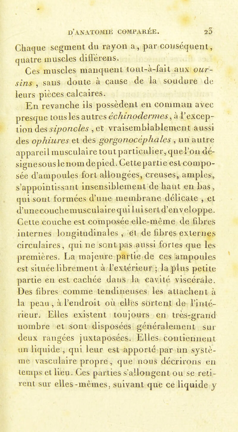 Chaque segment du rayon a, par conséquent, quatre muscles différens. Ces muscles manquent loul-à-fait aux our- sins , saus doute à cause de la soudure de leurs pièces calcaires. En revanche ils possèdent eu commun avec presque tous les autres échinodermes, à Texcep- tion des siponcles , et vraisemblablement aussi des ophiures et des gorgonocéphales , un autre appareil musculaire tout particulier, que l'on dé- signesouslenomdepied. Cettepartie est compo- sée d'ampoules fort allongées, creuses, amples, s'appointissant insensiblement de haut en bas , qui sont formées d'une membrane délicate , et d'unecouchemusculaire qui I uisert d'enveloppe. Cette couche est composée elle-même de fibres internes longitudinales , él de fibres externefi circulaires, qui ne sont pas aussi fortes que les premières. La majeure partie de ces ampoules est située librement à l'extérieur ; la plus petite partie en est cachée dans la cavité viscérale. Des fibres comme tendineuses les attachent à la peau , à l'endroit où elles sortent de l'inté- rieur. Elles existent toujours en très-grand nombre et sont disposées généralement sur deux rangées juxtaposées. Elles contiennent un liquide , qui leur est apporté par un systè- me vasculaire propre, que nous décrirons en temps et lieu. Ces parties s'allongent ou se reti- rent sur elles-mêmes, suivant que ce liquide y