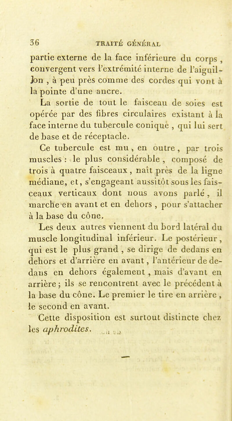 partie externe de la face inférieure du corps , convergent vers l'extrémité interne de l'aiguil- Jon , à peu près comme des cordes qui vont à la pointe d'une ancre. La sortie de tout le faisceau de soies est opérée par des fibres circulaires existant à la face interne du tubercule conique , qui lui sert de base et de réceptacle. Ce tubercule est mu , en outre , par trois muscles : le plus considérable , composé de trois à quatre faisceaux, naît près de la ligne médiane, et, s'engageant aussitôt sous les fais- ceaux verticaux dont nous avons parlé, il marche en avant et en dehors , pour s'attacher à la base du cône. Les deux autres viennent du bord latéral du muscle longitudinal inférieur. Le postérieur, qui est le plus grand , se dirige de dedans en dehors et d'arrière en avant, l'antérieur de de- dans en dehors également ^ mais d'avant en arrière ; ils se rencontrent avec le précédent à la base du cône. Le premier le tire en arrière , le second en avant. Cette disposition est surtout distincte chez les aphrodites. ..Il -jj