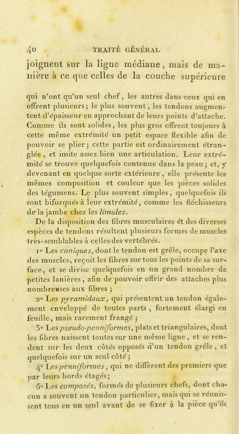 joignent sur la ligne médiane, mais de ma- nière à ce que celles de la couche supérieure qui n'ont qu'un seul chef, les autres dans ceux qui en offrent plusieurs; le plus souvent, les tendons augmen- tent d'épaisseur en approchant de leurs points d'attache. Comme ils sont solides, les plus gros offrent toujours à cette même extrémité' un petit espace flexible afin de pouvoir se plier; cette partie est ordinairement e'tran- gle'e , et imite assez bien une articulation. Leur extre'- mite' se trouve quelquefois contenue dans la peau; et, y devenant en quelque sorte exte'rieure , elle présente les mêmes composition et couleur que les pièces solides des te'gumens. Le plus souvent simples, quelquefois ils sont bifurque's à leur extre'mite', comme les fléchisseurs de la jambe chez les limules. De la disposition des fibres musculaires ét des diverses espèces de tendons résultent plusieurs formes de muscles très-semblables à celles des vertébrés. i» Les coniques, dont le tendon est grêle, occupe l'axe des muscles, reçoit les fibres sur tous les points de sa sur- face, et se divise quelquefois en un grand nombre de petites lanières, afin de pouvoir olTrir des attaches plus nombreHscs aux fibres ; 2° Les pyramidaux, qui présentent un tendon égale- ment enveloppé de toutes parts , fortement élargi en feuille, mais rarement frangé ; 30 ï-,es pseudo-periTiifùrnies, plats et triangulaires, dont les fibres naissent toutes sur une même ligne , et se ren- dent sur les deux côtés opposés d'un tendon grêle, et quelquefois sur un seul côté; 4° Les pennifonnes, qui ne diflfèrent des premiers que par leurs bords étagés; f 5 Les composés, formés de plusieurs chefs, dont cha- cun a souvent un tendon particulier, mais qui se réunis- sent tous en un seul avant de se fixer à la pièce qu'ils