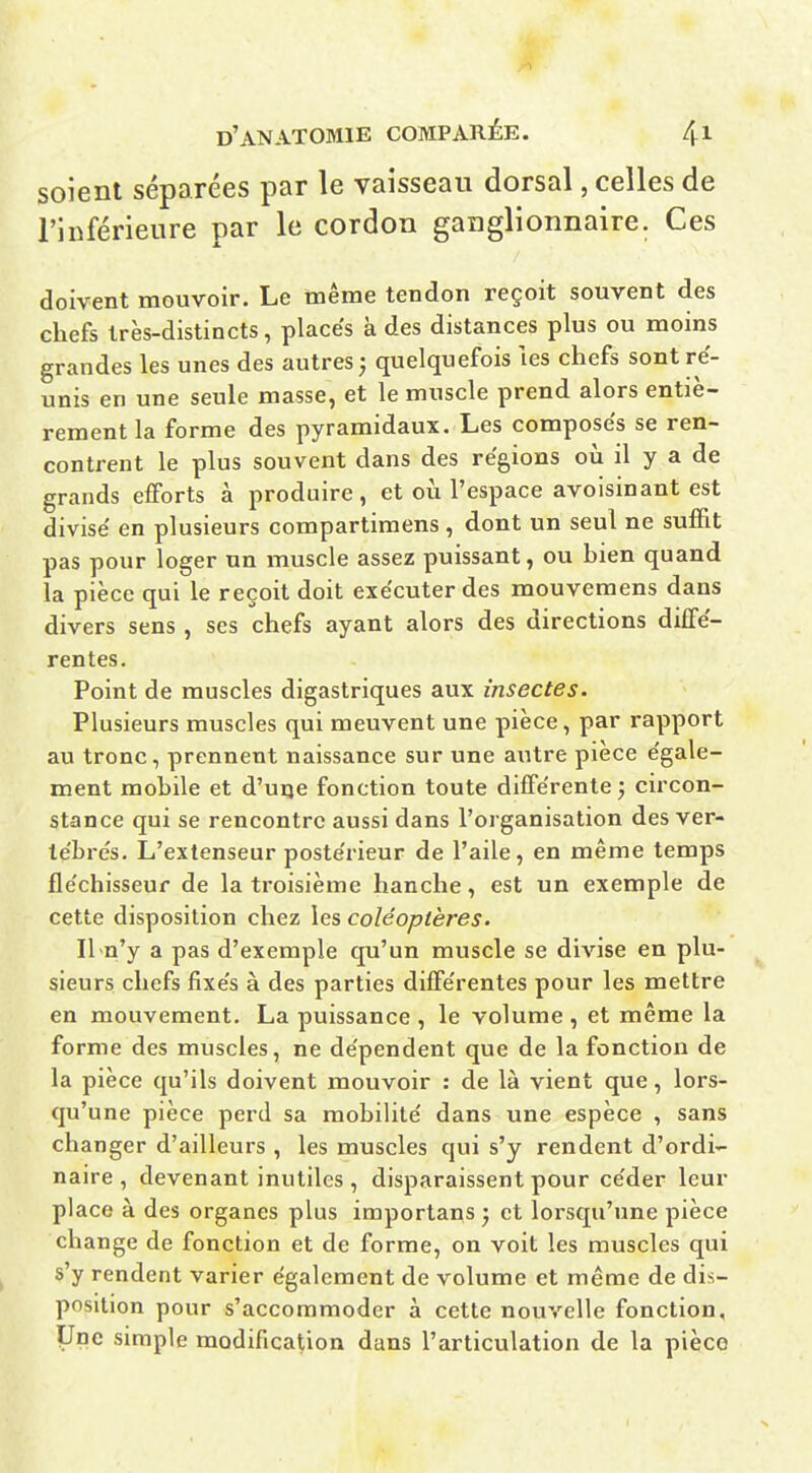 soient séparées par le vaisseau dorsal, celles de l'inférieure par le cordon ganglionnaire. Ces doivent mouvoir. Le même tendon reçoit souvent des chefs très-distincts, placés k des distances plus ou moins grandes les unes des autres j quelquefois tes chefs sont ré- unis en une seule masse, et le muscle prend alors entiè- rement la forme des pyramidaux. Les composés se ren- contrent le plus souvent dans des régions oii il y a de grands efforts à produire, et oii l'espace avoisinant est divisé en plusieurs compartimens, dont un seul ne suffit pas pour loger un muscle assez puissant, ou bien quand la pièce qui le reçoit doit exécuter des mouvemens dans divers sens , ses chefs ayant alors des directions diffé- rentes. Point de muscles digastriques aux insectes. Plusieurs muscles qui meuvent une pièce, par rapport au tronc, prennent naissance sur une autre pièce égale- ment mobile et d'uije fonction toute différente; circon- stance qui se rencontre aussi dans l'organisation des ver- tébrés. L'extenseur postérieur de l'aile, en même temps fléchisseur de la troisième hanche, est un exemple de cette disposition chez les coléoptères. Il n'y a pas d'exemple qu'un muscle se divise en plu- sieurs chefs fixés à des parties différentes pour les mettre en mouvement. La puissance , le volume , et même la forme des muscles, ne dépendent que de la fonction de la pièce qu'ils doivent mouvoir : de là vient que, lors- qu'une pièce perd sa mobilité dans une espèce , sans changer d'ailleurs , les muscles qui s'y rendent d'ordi- naire , devenant inutiles , disparaissent pour céder leur place à des organes plus importans ; et loi\squ'une pièce change de fonction et de forme, on voit les muscles qui s'y rendent varier également de volume et même de dis- position pour s'accommoder à cette nouvelle fonction. Une simple modification dans l'articulation de la pièco