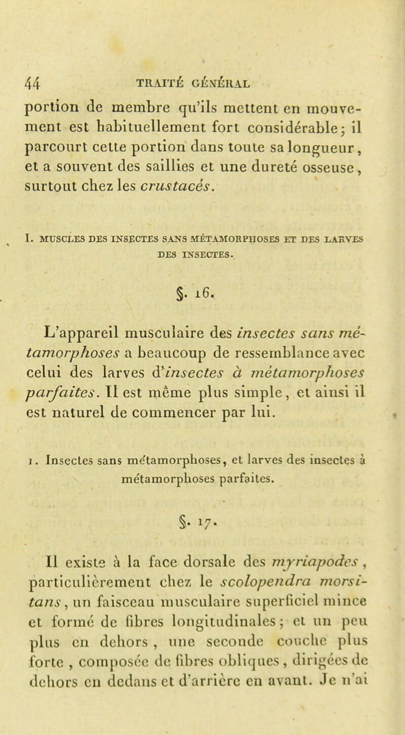 portion de membre qu'ils mettent en mouve- ment est babltuellement fort considérable; il parcourt cette portion dans toute sa longueur, et a souvent des saillies et une dureté osseuse, surtout chez les crustacés. I. MUSCLES DES INSECTES SANS MÉTAMORPHOSES ET DES LARVES DES INSECTES. §. 16. L'appareil musculaire des insectes sans mé- tamorphoses a beaucoup de ressemblance avec celui des larves ài'insectes à métamorphoses parfaites. Il est même plus simple, et ainsi il est naturel de commencer par lui. 1. Insectes sans me'tamorphoses, et larves des insectes à métamorphoses parfaites. §• 17- Il existe à la face dorsale des myriapodes, particulièrement chez le scolopendra morsi- tans, un faisceau musculaire superficiel mince et formé de fibres longitudinales ; et un peu plus en dehors , une seconde couche plus forte , composée de fibres obliques , dirigées de dehors en dedans et d'arrière en avant. Je n'ai