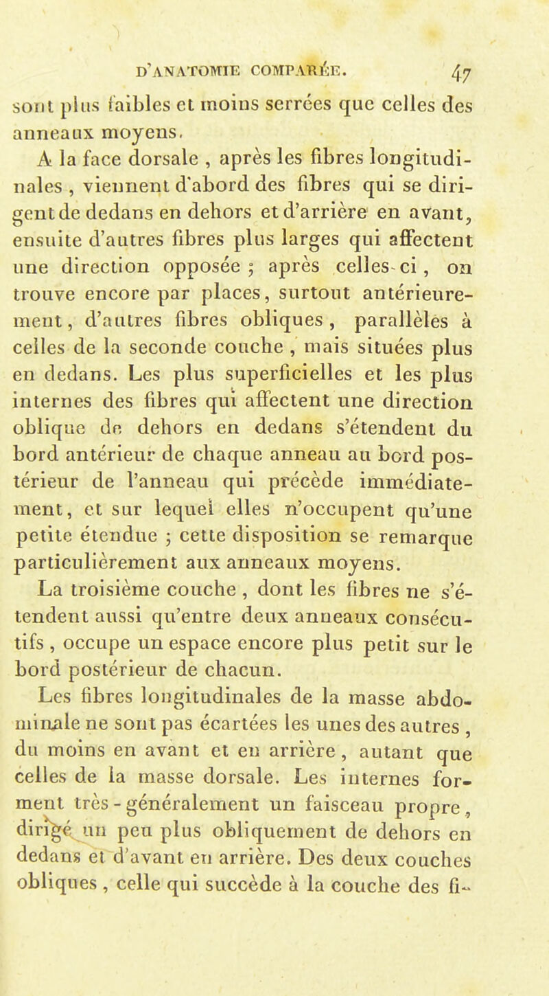 sont plus faibles et moins serrées que celles des anneaux moyens, A la face dorsale , après les fibres longitudi- nales , viennent d'abord des fibres qui se diri- gent de dedans en dehors et d'arrière en avant, ensuite d'autres fibres plus larges qui affectent une direction opposée 5 après celles-ci, on trouve encore par places, surtout antérieure- ment, d'autres fibres obliques, parallèles à celles de la seconde couche , mais situées plus en dedans. Les plus superficielles et les plus internes des fibres qui affectent une direction oblique do dehors en dedans s'étendent du bord antérieur de chaque anneau au bord pos- térieur de l'anneau qui précède immédiate- ment, et sur lequel elles n'occupent qu'une petite étendue ; cette disposition se remarque particulièrement aux anneaux moyens. La troisième couche , dont les fibres ne s'é- tendent aussi qu'entre deux anneaux consécu- tifs , occupe un espace encore plus petit sur le bord postérieur de chacun. Les fibres longitudinales de la masse abdo- minale ne sont pas écartées les unes des autres , du moins en avant et eu arrière, autant que celles de la masse dorsale. Les internes for- ment très - généralement un faisceau propre, dirîgé^un peu plus obliquement de dehors en dedans et d'avant en arrière. Des deux couches obliques , celle qui succède à la couche des fi-