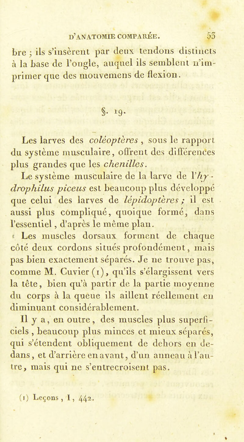 bre j ils s'insèrent par deux tendons distincts à la base de l'ongle, auquel ils semblent n'im- primer que des mouvemens de flexion. §• 19- Les larves des coléoptères , sous le rapport du système musculaire, offrent des difFérences plus grandes que les chenilles. Le système musculaire de la larve de Vhj ■ drophilus piceus est beaucoup plus développé que celui des larves de lépidoptères ; il est aussi plus compliqué, quoique formé, dans l'essentiel, d'après le même plan, t Les muscles dorsaux forment de chaque côté deux cordons situés profondément, mais pas bien exactement séparés. Je ne trouve pas, comme M. Cuvier(i), qu'ils s'élargissent vers la tête, bien qu'à partir de la partie moyenne du corps à la queue ils aillent réellement eu diminuant considérablement. Il y a, en outre, des muscles plus superfi- ciels , beaucoup plus minces et mieux séparés, qui s'étendent obliquement de dehors en de- dans, et d'arrière en avant, d'un anneau à l'au- tre, mais qui ne s'entrecroisent pas.