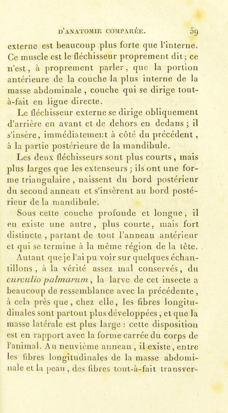 externe est beaucoup plus forte que l'interne. Ce muscle est le fléchisseur proprement dit; ce n'est, à proprement parler, que la portion antérieure de la couche la plus interne de la masse abdominale , couche qui se dirige tout- à-fail en ligne directe. Le fléchisseur externe se dirige obliquement d'arrière en avant et de dehors en dedans ; il s'insère, immédiatement à côté du précédent, à la partie postérieure de la mandibule. Les deux fléchisseurs sont plus courts , mais plus larges que les extenseurs ; ils ont une for- me triangulaire , naissent du bord postérieur du second anneau et s'insèrent au bord posté- rieur de la mandibule. Sous celte couche profonde et longue, il en existe une autre , plus courte, mais fort distincte , partant de tout l'anneau antérieur et qui se termine à la même région de la tête. Autant que je l'ai pu voir sur quelques échan- tillons , à la vérité assez mal conservés, dii curculio palmarum, la larve de cet insecte a beaucoup de ressemblance avec la précédente , à cela près que, chez elle, les fibres longitu- dinales sont partout plus développées , et que la masse latérale est plus large : cette disposition est en rapport avec la forme carrée du corps de l'animal. Au neuvième anneau , il existe, entre les fibres longitudinales de la masse abdomi- nale et la peau , des fibres tout-à-fait transver-