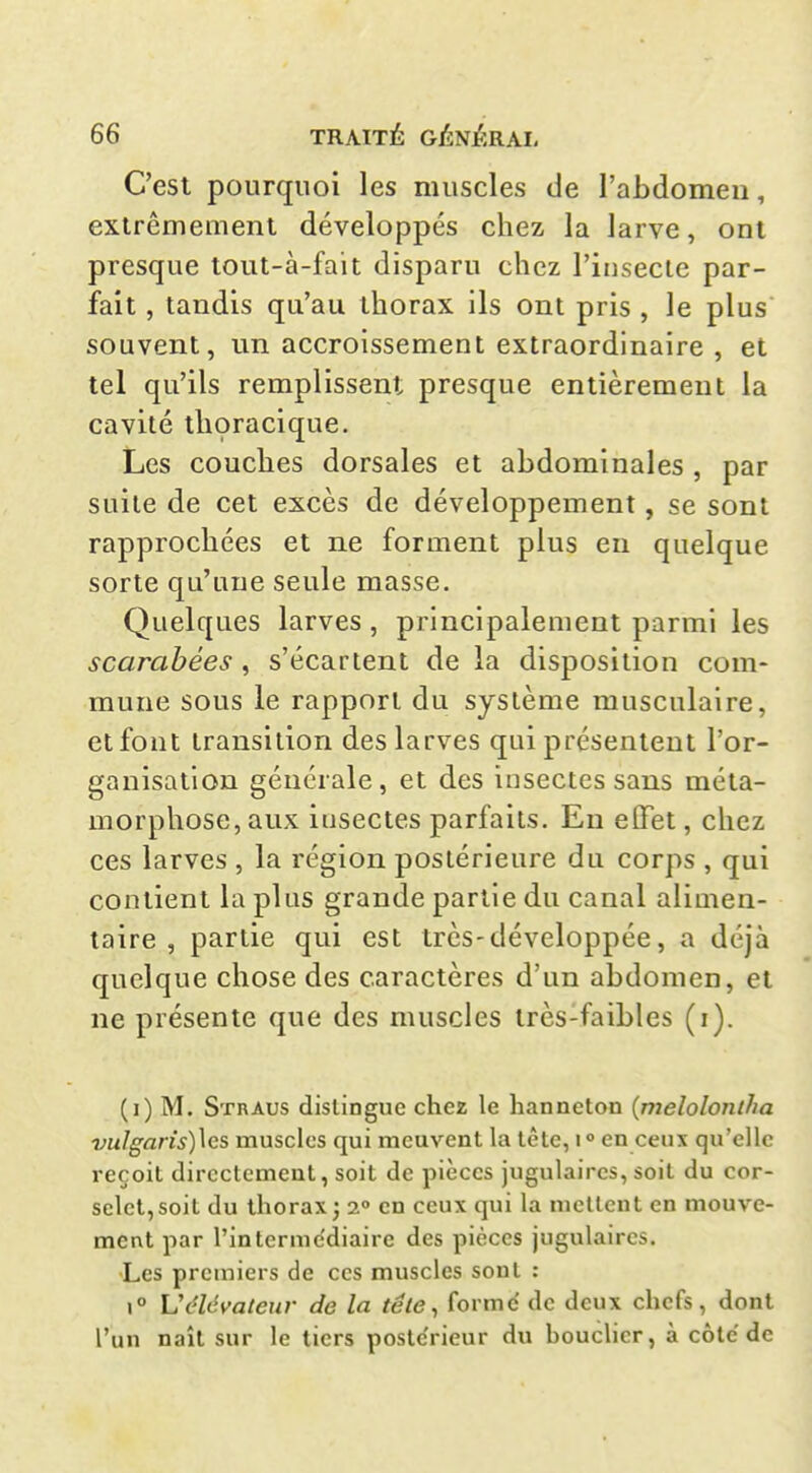 C'est pourquoi les muscles de l'abdomeii, extrêmement développés chez la larve, ont presque tout-à-fait disparu chez l'insecte par- fait , tandis qu'au thorax ils ont pris , le plus souvent, un accroissement extraordinaire , et tel qu'ils remplissent presque entièrement la cavité thoracique. Les couches dorsales et abdominales , par suite de cet excès de développement, se sont rapprochées et ne forment plus en quelque sorte qu'une seule masse. Quelques larves , principalement parmi les scarabées, s'écartent de la disposition com- mune sous le rapport du système musculaire, et font transition des larves qui présentent l'or- ganisation générale, et des insectes sans méta- morphose, aux insectes parfaits. En effet, chez ces larves , la région postérieure du corps , qui contient la plus grande partie du canal alimen- taire , partie qui est très-développée, a déjà quelque chose des caractères d'un abdomen, et ne présente que des muscles très-faibles (i). (i) M. Straus dislingue chez le hanneton {melolonlha vulgans)\es muscles qui meuvent la tête, 1° en ceux qu'elle reçoit directement, soit de pièces jugulaires, soit du cor- selet,soit du thorax j 2° en ceux qui la mettent en mouve- ment par rinterme'diaire des pièces jugulaires. Les premiers de ces muscles sont : 1° Vclévateur de la tête ^ forme de deux chefs, dont l'un naît sur le tiers postérieur du boucher, à côté de