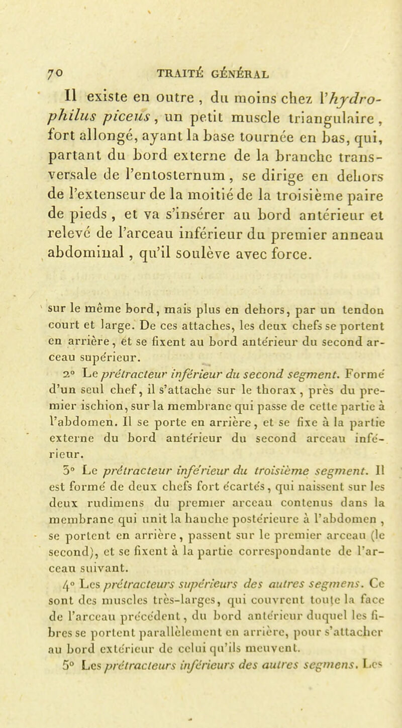 Il existe en outre , du moins chez Vhjdro- philus piceus, un petit muscle triangulaire , fort allongé, ayant la base tournée en bas, qui, partant du bord externe de la branche trans- versale de l'entosternum, se dirige en dehors de l'extenseur de la moitié de la troisième paire de pieds , et va s'insérer au bord antérieur et relevé de l'arceau inférieur du premier anneau abdominal, qu'il soulève avec force. ' sur le même bord, mais plus en dehors, par un tendon court et large. De ces attaches, les deux chefs se portent en arrière, et se fixent au bord ante'rieur du second ar- ceau supérieur. 2» Le prélracleur inférieur du second segment. Forme' d'un seul chef, il s'attache sur le thorax , près du pre- mier ischion, sur la membrane qui passe de cette partie à l'abdomen. Il se porte en arrière, et se fixe à la partie externe du bord ante'rieur du second arceau infe'- rienr. 5° Le prétracteur inférieur du troisième segment. H est forme' de deux chefs fort e'carte's, qui naissent sur les deux rudimens du premier arceau contenus dans la membrane qui unit la hanche poste'rieure à l'abdomen , se portent en arrière, passent sur le premier arceau (le second), et se fixent à la partie correspondante de l'ar- ceau suivant. 4» Les prétracteurs supérieurs des autres segmens. Ce sont des muscles très-larges, qui couvrent tou^c la face de l'arceau pre'ccdcnl, du bord ante'rieur duquel les fi- bres se portent parallèlement en arrière, pour s'attacher au bord extérieur de celui qu'ils meuvent. 5° Les prétracteurs inférieurs des autres segmens. Les