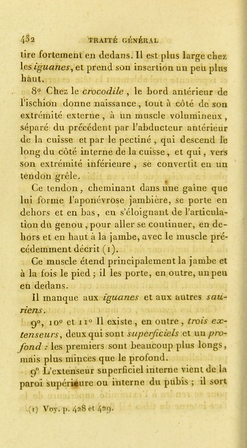 lire fortement en dedans. Il est plus large cliez les iguanes^ et prend son insertion un peu plus haut. 8° Chez le crocodile , le bord antérieur de l'ischion donne naissance, tout à côté de son extrémité externe, à un muscle volumineux, séparé du précédent par l'abducteur antérieur de la cuisse et par le pectiné , qui descend le long du côté interne de la cuisse, et qui, vers son extrémité inférieure , se convertit eu un tendon grêle. Ce tendon, cheminant dans une gaîne que lui forme l'aponévrose jambière, se porte en dehors et en bas, en s'éloignaut de l'articula- tion du genou ,pour aller se continuer, en de- hors et en haut à la jambe, avec le muscle pré- cédemment décrit (i). Ce muscle étend principalement la jambe et à la fois le pied ; il les porte, en outre, un peu en dedans. Il manque aux iguanes et aux autres sau- riens. 90, 10° et 11° Il existe , en outre , trois ecr- tenseurs, deux qui sont superficiels et un pro- fond : les premiers sont beaucoup plus longs, mais plus minces que le profond. 9° L'extenseur superficiel interne vient de la paroi supérieure ou interne du pubis ; il sort