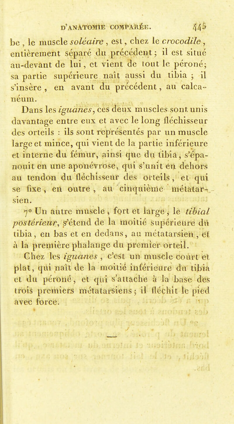 be , le muscle soléaire , est, chez le crocodile, entièrement séparé du précédent 5 il est situé au-devant de lui, et vient de tout le péroné; sa partie supérieure naît aussi du tibia ; il s'insère , en avant du précédent, au calca- néum. Dans les iguanes, ces deux muscles sont unis davantage entre eux et avec le long fléchisseur des orteils : ils sont représentés par un muscle large et mince, qui vient de la partie inférieure et interne du fémur, ainsi que du tibia, s'épa- nouit en une aponévrose, qui s'unit en dehors au tendon du fléchisseur des orteils, et qui se fixe, en outre, au cinquième métatar-, sien. 70 Un autre mUscle , fort et large ^ le tihial postérieur^ s^étend de la moitié supérieure dù tibia, en bas et en dedans, au métatarsien , ef. à la première phalange du premier orteil. Chez les iguanes , c'est un muscle court t^. plat, qui naît de la moitié inférieure du tibia et du péroné, et qui s'attache à la base des trois premiers métatarsiens; il fléchit le pied avec force.