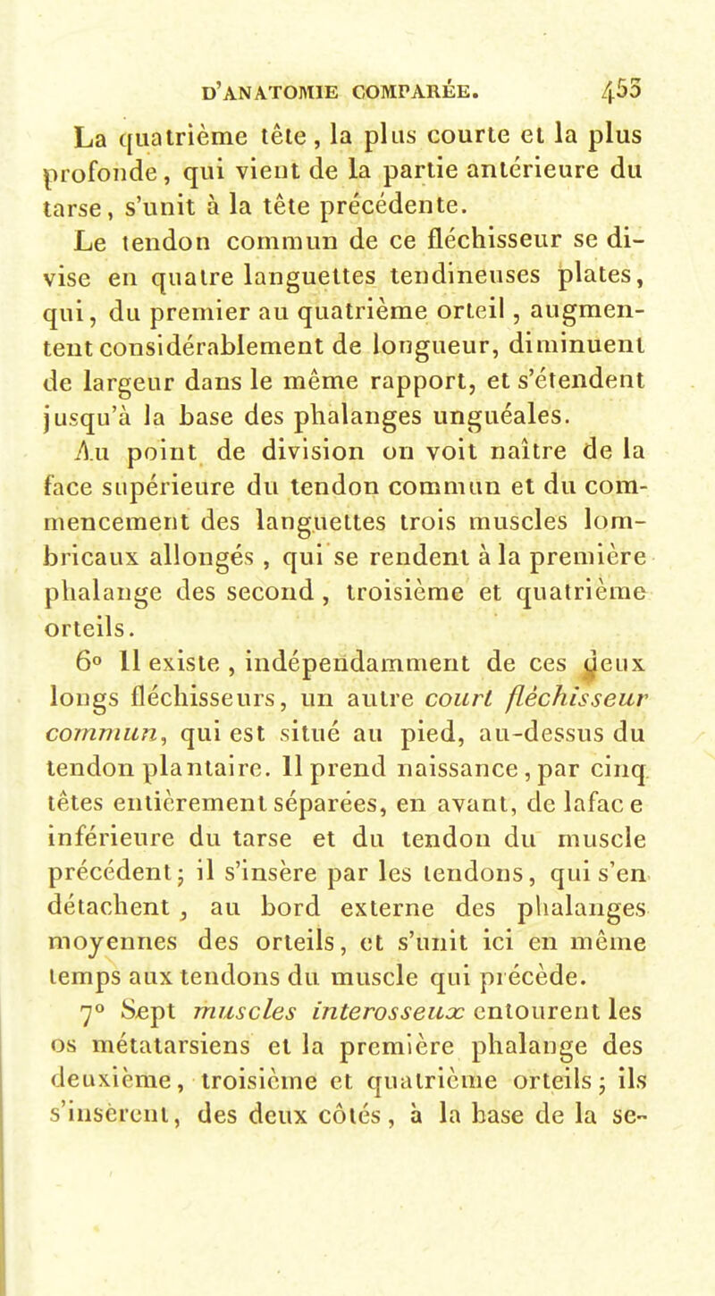 La quatrième têle, la plus courte et la plus profonde , qui vieut de la partie antérieure du tarse, s'unit à la tête précédente. Le tendon commun de ce fléchisseur se di- vise en quatre languettes tendineuses plates, qui, du premier au quatrième orteil, augmen- tent considérablement de longueur, diminuent de largeur dans le même rapport, et s'étendent jusqu'à la base des phalanges unguéales. Au point de division on voit naître de la face supérieure du tendon commun et du com- mencement des languettes trois muscles lom- bricaux allongés , qui se rendent à la première phalange des second, troisième et quatrième orteils. 60 11 existe , indépendamment de ces ^eux longs fléchisseurs, un autre court fléchisseur commun^ qui est situé au pied, au-dessus du tendon plantaire. 11 prend naissance , par cinq, têtes entièrement séparées, en avant, de laface inférieure du tarse et du tendon du muscle précédent; il s'insère par les tendons, qui s'en détachent , au bord externe des plialanges moyennes des orteils, et s'unit ici en même temps aux tendons du muscle qui précède. 7'* Sept muscles interosseuoc entourent les os métatarsiens et la première phalange des deuxième, troisième et quatrième orteils; ils s'insèrent, des deux côtés, à la base de la se-