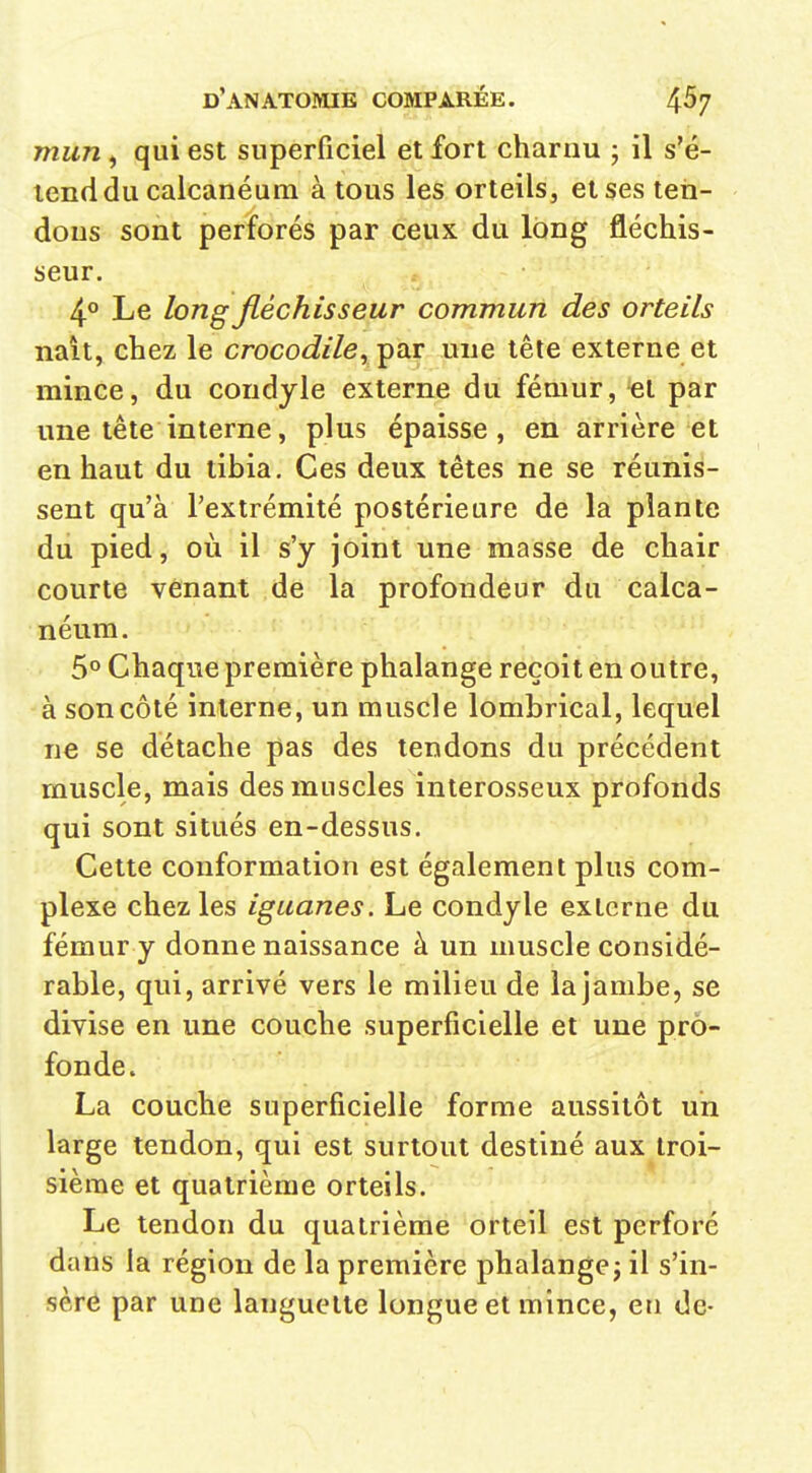 mun , qui est superficiel et fort charnu ; il s'é- tend du calcanéum à tous les orteils, et ses teti- dous sont perforés par ceux du long fléchis- seur. 4° Le long fléchisseur commun des orteils nait, chez le crocodile^^^^v une tête externe et mince, du condyle externe du fémur, et par une tête interne, plus épaisse, en arrière et en haut du tibia. Ces deux têtes ne se réunis- sent qu'à l'extrémité postérieure de la plante du pied, où il s'y joint une masse de chair courte venant de la profondeur du calca- néum. 5° Chaque première phalange reçoit en outre, à son côté interne, un muscle lombrical, lequel ne se détache pas des tendons du précédent muscle, mais des muscles interosseux profonds qui sont situés en-dessus. Cette conformation est également plus com- plexe chez les iguanes. Le condyle externe du fémur y donne naissance à un muscle considé- rable, qui, arrivé vers le milieu de la jambe, se divise en une couche superficielle et une pro- fonde. La couche superficielle forme aussitôt un large tendon, qui est surtout destiné aux troi- sième et quatrième orteils. Le tendon du quatrième orteil est perforé dans la région de la première phalangej il s'in- sèré par une languette longue et mince, en de-