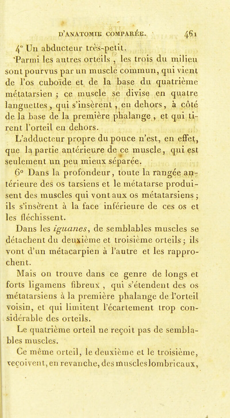 4 Un abducteur très-pelil. Parmi les autres orteils , les trois du milieu sont pourvus par un muscle commun, qui vient de l'os cuboïde et. de la base du quatrième métatarsien -, ce muscle se divise en quatre languettes , qui s'insèrent , en dehors, à côté de la base de la première phalange , et qui lu- rent l'orteil en dehors. L'adducteur propre du pouce n'est, en effet, que la partie antérieure de ce muscle, qui est seulement un peu mieux séparée. 6° Dans la profondeur, toute la rangée an- térieure des os tarsiens et le métatarse produi- sent des muscles qui vont aux os métatarsiens j ils s'insèrent à la face inférieure de ces os et les fléchissent. Dans les iguanes, de semblables muscles se détachent du deuxième et troisième orteils ; ils vont d'un métacarpien à l'autre et les rappro- chent. Mais on trouve dans ce genre de longs et forts llgamens fibreux , qui s'étendent des os métatarsiens à la première phalange de l'orteil voisin, et qui limitent l'écarlement trop con- sidérable des orteils. Le quatrième orteil ne reçoit pas de sembla- bles muscles. Ce même orteil, le deuxième et le troisième, reçoivent, en revanche, des muscleslombricaux,