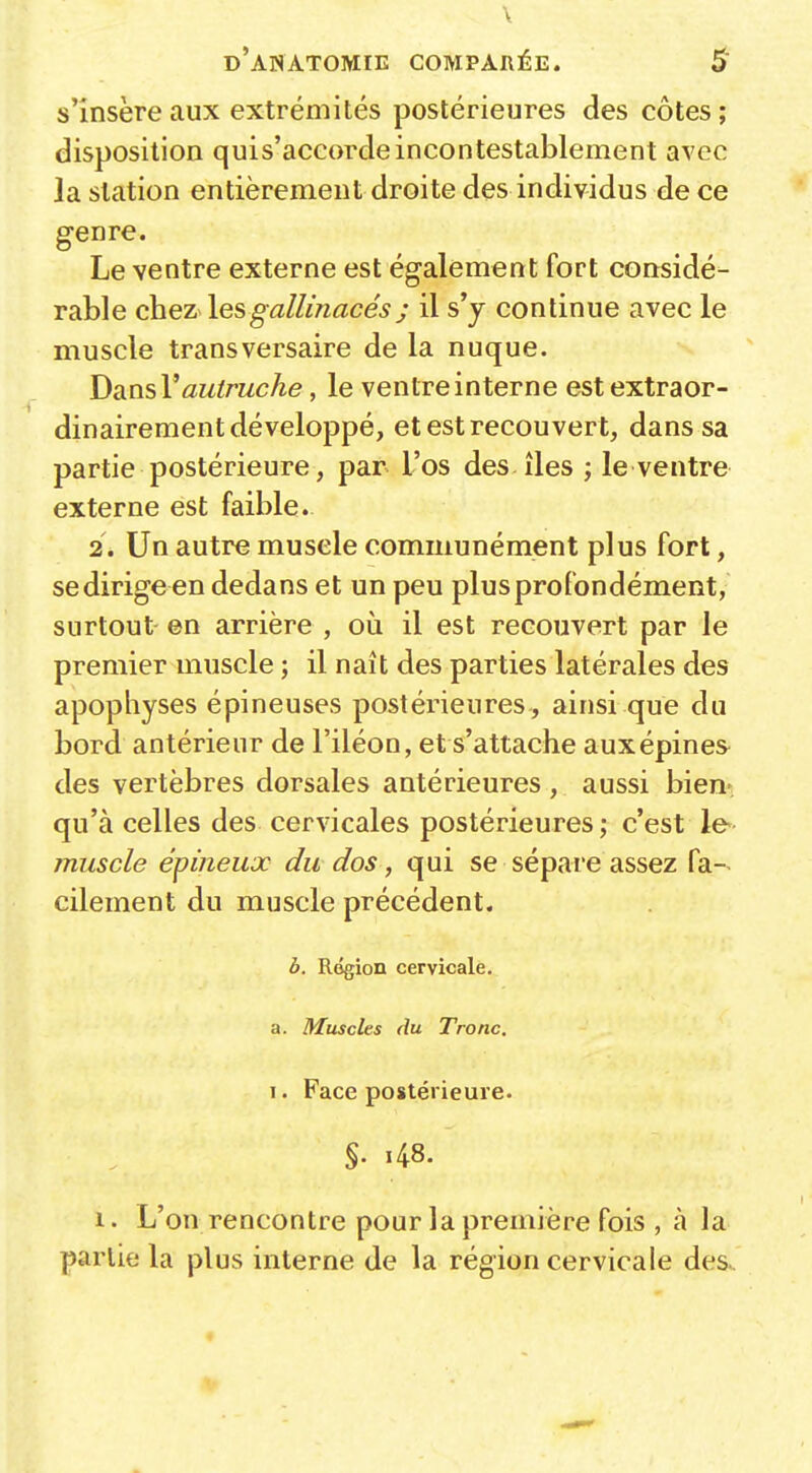 s'insère aux extrémités postérieures des côtes; disposition quis'accorde incontestablement avec la station entièrement droite des individus de ce genre. Le ventre externe est également fort considé- rable chez les gallinacés j il s'y continue avec le muscle transversaire de la nuque. DansV autruche, le ventre interne estextraor- dinairement développé, et est recouvert, dans sa partie postérieure, par l'os des îles ; le ventre externe est faible. 2. Un autre muscle communément plus fort, se dirige en dedans et un peu plus profondément, surtout en arrière , où il est recouvert par le premier muscle ; il naît des parties latérales des apophyses épineuses postérieures, ainsi que du bord antérieur de l'iléon, et s'attache aux épines des vertèbres dorsales antérieures , aussi bien- qu'à celles des cervicales postérieures; c'est le- muscle épineux du dos, qui se sépare assez fa-- cilement du muscle précédent. à. Région cervicale, a. Muscles du Tronc, I. Face postérieure. §. i48. 1. L'on rencontre pour la première fois , à la partie la plus interne de la région cervicale desv «