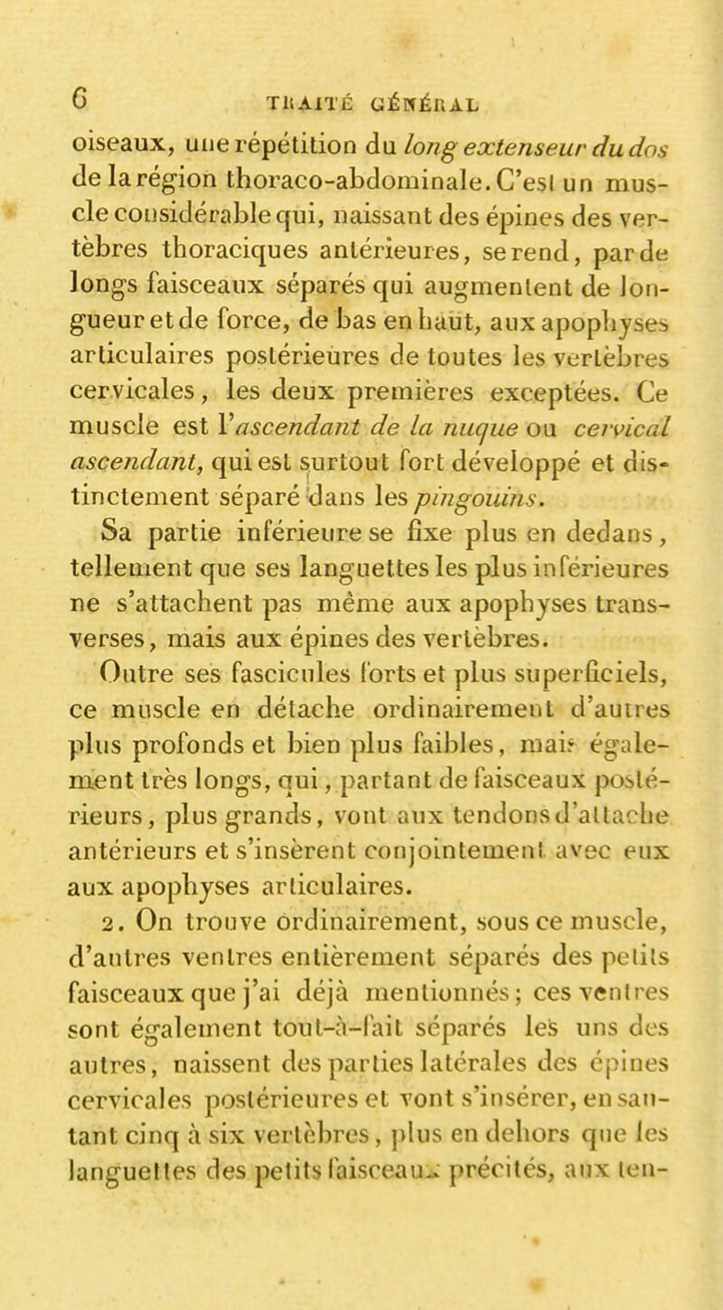 oiseaux, uue répétition àyi long extenseur du dos delà région thoraco-abdominale.C'esi un mus- cle considérable qui, naissant des épines des ver- tèbres thoraciques antérieures, se rend, par de longs faisceaux séparés qui augmentent de lon- gueur et de force, de bas en haut, aux apopljjses articulaires postérieures de toutes les vertèbres cervicales, les deux premières exceptées. Ce muscle est Vascendant de la nuque on cervical ascendant, qui est surtout fort développé et dis- tinctement séparé'dans les pingouins. Sa partie inférieure se fixe plus en dedans , tellement que ses languettes les plus inférieures ne s'attachent pas même aux apophyses trans- verses, mais aux épines des vertèbres. Outre ses fascicules forts et plus superficiels, ce muscle en détache ordinairement d'autres plus profonds et bien plus faibles, mai? égale- ment très longs, qui, partant de faisceaux posté- rieurs, plus grands, vont aux tendonsd'allache antérieurs et s'insèrent conjointement avec eux aux apophyses articulaires. 2. On trouve ordinairement, sous ce muscle, d'antres ventres entièrement séparés des pelils faisceaux que j'ai déjà mentionnés ; ces ventres sont également toul-à-fait séparés leà uns des autres, naissent des parties latérales des épines cervicales postérieures et vont s'insérer, en sau- tant cinq à six vertèbres, jilus en dehors que les languettes des petits faisceau^ précités, aux len-