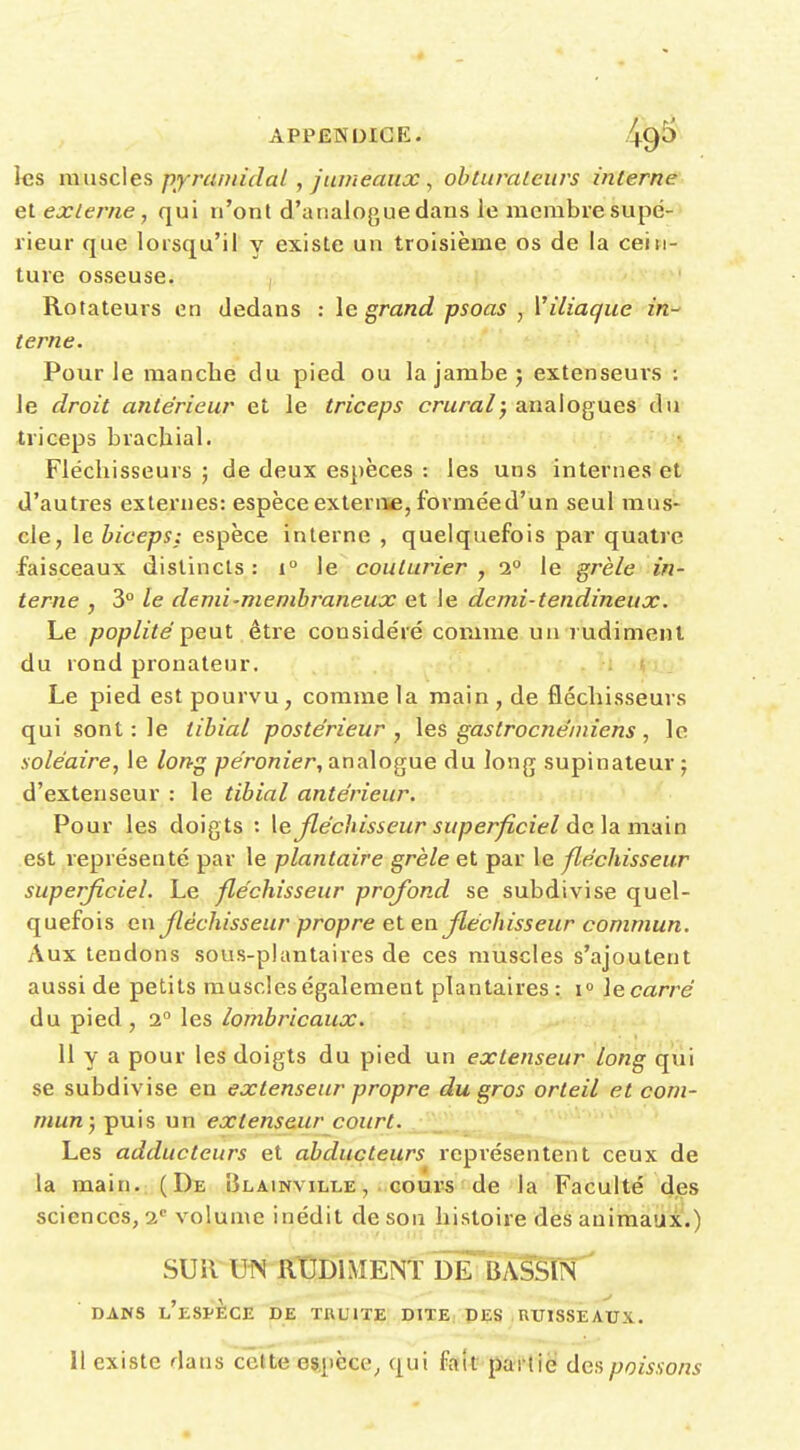 les musc\es pyramidal, jumeaux, obturateurs interne et externe, qui n'ont d'analogue dans le membre supé- rieur que lorsqu'il y existe un troisième os de la cein- ture osseuse. Rotateurs en dedans : \c grand psoas , Viliaque in^ terne. Pour le manche du pied ou la jambe 5 extenseurs : le droit antérieur et le triceps crural; analogues du triceps brachial. ' Fléchisseurs ; de deux espèces : les uns internes et d'autres externes: espèce exteriïe, forméed'un seul mus- cle, le biceps: espèce interne , quelquefois par quatre faisceaux distincts : 1° le couturier , 2*^ le grêle in- terne , 3 le demi-membraneux et le demi-tendineux. Le 7?o/7/i7e peut être considéré comme un rudiment du rond pronateur. Le pied est pourvu, comme la main , de fléchisseurs qui sont : le tibial postérieur, \es gastrocnéniiens, le soléaire, le long péronier, analogue du long supinateur; d'extenseur : le tibial antérieur. Pour les doigts : [ejléchisseur superficiel delà main est représenté par le plantaire grêle et par le fléchisseur superficiel. Le fléchisseur profond se subdivise quel- quefois en fléchisseur propre et en fléchisseur commun. Aux tendons sous-plantaires de ces muscles s'ajoutent aussi de petits muscles également plantaires: i» lecarré du pied , 2° les lombricaux. 11 y a pour les doigts du pied un extenseur long qui se subdivise en extenseur propre du gros orteil et com- mun )t^vl\% nn extenseur court. . •ij.V.i.». Les adducteurs et abducteurs représentent ceux de la main. (De Blainville , ..gouiîs f de la Faculté des sciences, 2'' volume inédit de son histoire des animaux.) SUR U1N RUDIMENT DE^BASSTn DANS L ESPECE DE TRUITE DITE DES nXTlSSEATTX.