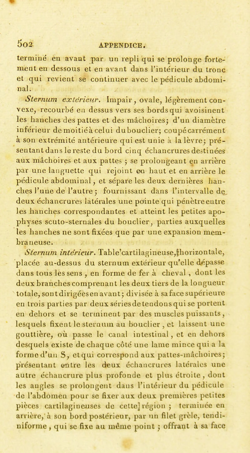 terminé en avaut par un repli qui se prolonge forte- ment en dessous et en avant dans l'intérieur du tronc et qui revient se continuer avec le pédicule abdomi- nal. Sternum extérieur. Impair , ovale, légèrement con- vexe, recourbé eu dessus vers ses bords qui avoisinent les hanches des pattes et des mâchoires; d'un diamètre inférieur de moitiéà celui dubouclier; coupé carrément a son extrémité antérieure qui est unie à la lèvre; pré- sentant dans le reste du bord cinq écliancruresdestinées aux mâchoires et aux pattes ; se prolongeant en arrière par une languette qui rejoint ea haut et en arrière le pédicule abdominal, et sépare les deux dernières han- ches l'une de l'autre ; fournissant dans l'intervalle de deux échancrures latérales une pointe qui pénètreeutie les hanches correspondantes et atteint les petites apo- physes scuto-sternales du bouclier, parties auxquelles les hanches ne sont fixées que par une expansion mem- braneuse. Sternum intérieur. Table'cartilagineuse,fhorizontale, - placée au-dessus du sternum extérieur qu'elle dépasse dans tous les sens , en forme de fer à cheval , dont les deux branches comprenant les deux tiers de la longueur totale, sont dirigéesen avant; divisée à sa face supérieure en trois parties par deux sériesde tendons qui se portent en dehors et se terminent par des muscles puissants, lesquels fixent le sternum au bouclier , et laissent une gouttière, où passe le canal intestinal, et en dehors desquels existe de chaque côté une lame mince qui a la forraed'un S, ctqui correspond aux palles-mâchoiixîs; présentant entre les deux échancrures latérales une autre échancrure plus profonde et plus étroite, dont les angles se prolongent dans l'intérieur du pédicule de l'abdomen pour se fixer aux deux premières petites pièces cartilagineuses de cette] région ; terminée en arrière, à son bord postérieur, par un filet grcle, tcndi- niforme, qui se fixe au même point ; offrant à sa face