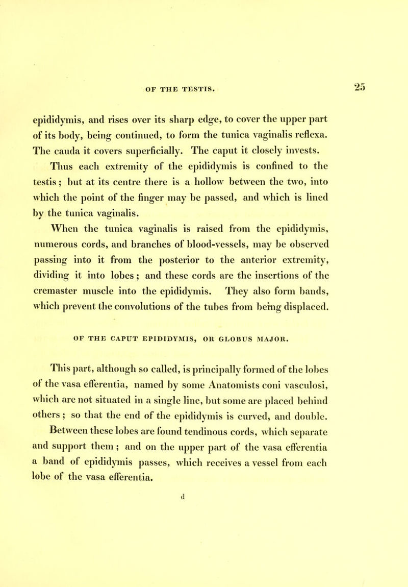 25 epididymis, and rises over its sharp edge, to cover the upper part of its hody, being continued, to form the tunica vaginalis reflexa. The Cauda it covers superficially. The caput it closely invests. Thus each extremity of the epididymis is confined to the testis; but at its centre there is a hollow between the two, into which the point of the finger may be passed, and which is lined by the tunica vaginalis. When the tunica vaginalis is raised from the epididymis, numerous cords, and branches of blood-vessels, may be observed passing into it from the posterior to the anterior extremity, dividing it into lobes ; and these cords are the insertions of the cremaster muscle into the epididymis. They also form bands, which prevent the convolutions of the tubes from berng displaced. OF THE CAPUT EPIDIDYMIS, OR GLOBUS MAJOR. This part, although so called, is principally formed of the lobes of the vasa efferentia, named by some Anatomists coni vasculosi, which are not situated in a single line, but some are placed behind others; so that the end of the epididymis is curved, and double. Between these lobes are found tendinous cords, which separate and support them ; and on the upper part of the vasa efferentia a band of epididymis passes, which receives a vessel from each lobe of the vasa efferentia. d