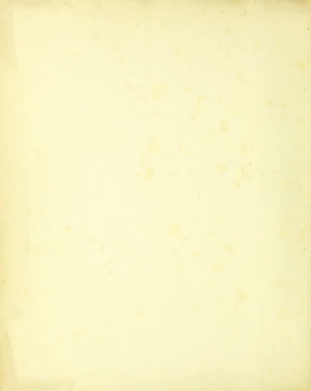digitised image 2