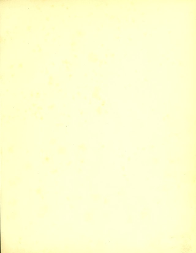 digitised image 3