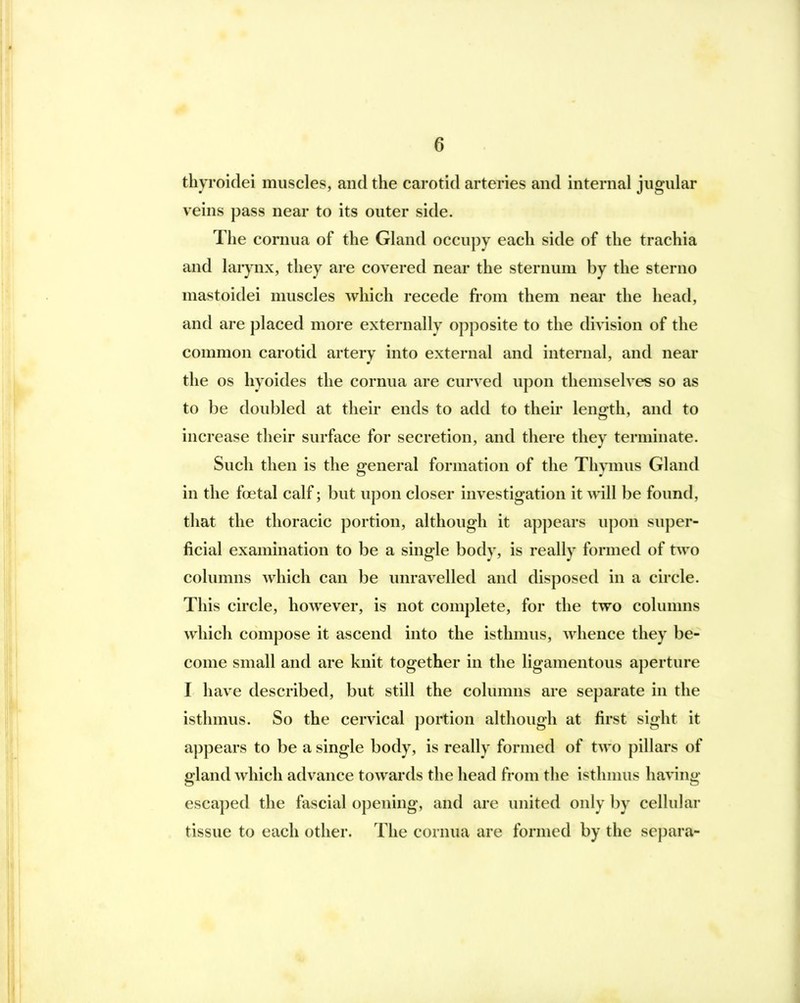 thyroidei muscles, and the carotid arteries and internal jugular veins pass near to its outer side. The cornua of the Gland occupy each side of the trachia and larynx, they are covered near the sternum by the sterno mastoidei muscles which recede from them near the head, and are placed more externally opposite to the division of the common carotid artery into external and internal, and near the OS hyoides the cornua are curved upon themselves so as to be doubled at their ends to add to their leno-th, and to increase their surface for secretion, and there they terminate. Such then is the general formation of the Thpnus Gland in the fcetal calf; but upon closer investigation it will be found, that the thoracic portion, although it ap])ears upon super- ficial examination to be a single body, is really formed of two columns which can be unravelled and disposed in a circle. This circle, however, is not complete, for the two columns which compose it ascend into the isthmus, Avhence they be- come small and are knit together in the ligamentous aperture I have described, but still the columns are separate in the isthmus. So the cervical portion although at first sight it appears to be a single body, is really formed of two pillars of gland which advance towards the head from the isthnms having escaped the fascial opening, and are united only by cellular tissue to each other. The cornua are formed by the separa-