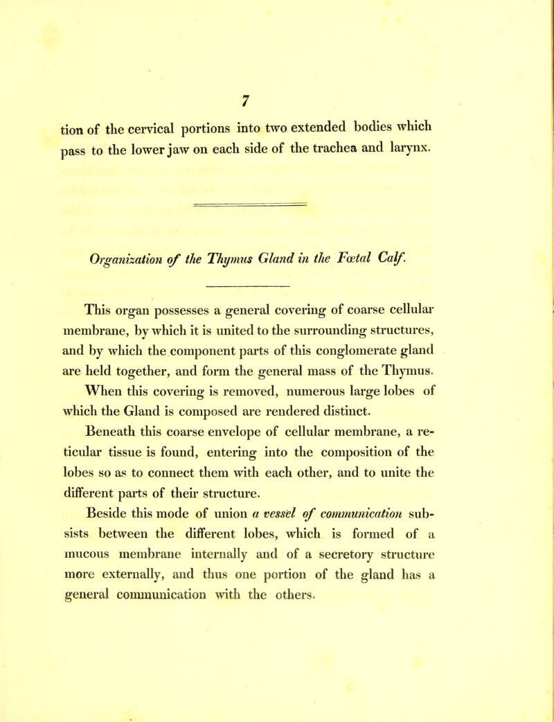 tion of the cervical portions into two extended bodies which pass to the lower jaw on each side of the trachea and larynx. Organization of the Thymus Gland iti the Foetal Calf. This organ possesses a general covering of coarse cellular membrane, by which it is united to the svuTOunding structures, and by which the component parts of this conglomerate gland are held together, and forai the general mass of the Thymus. When this covering is removed, numerous large lobes of which the Gland is composed are rendered distinct. Beneath this coarse envelope of cellular membrane, a re- ticular tissue is found, entering into the composition of the lobes so as to connect them with each other, and to unite the different parts of their structure. Beside this mode of union a vessel of communication sub- sists between the different lobes, which is formed of a mucous membrane internally and of a secretory structure more externally, and thus one portion of the gland has a general communication with the others.