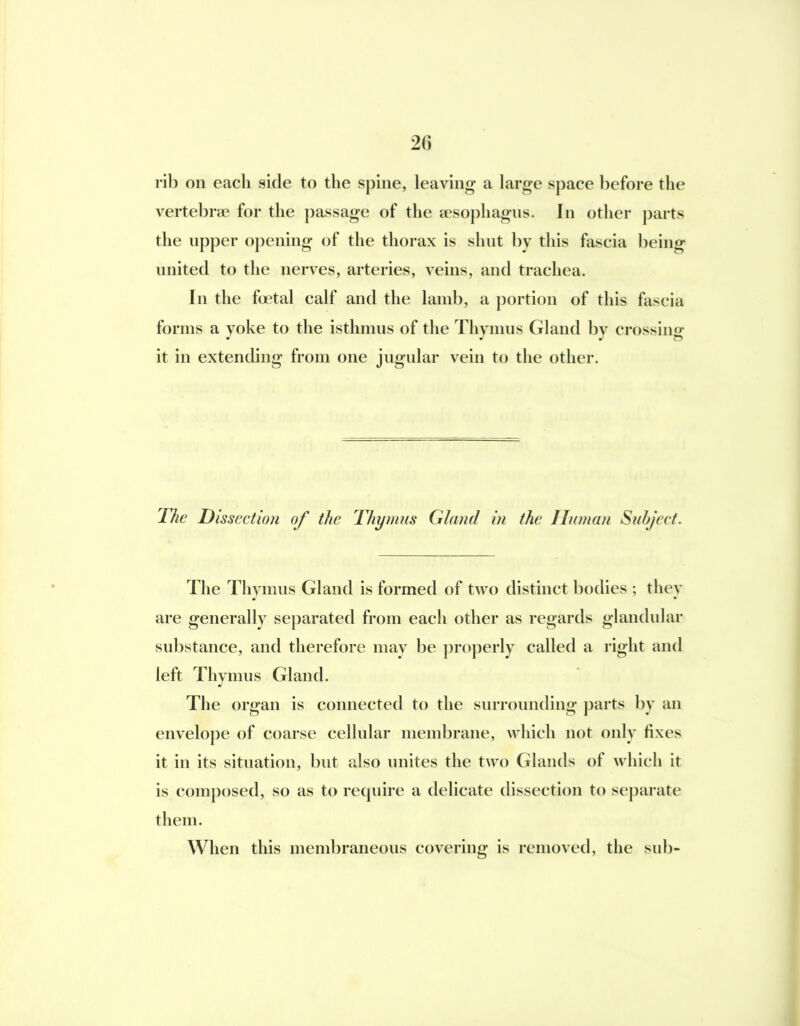 rib on each side to the spine, leaving a large space before the vertebriE for the passage of the aesophagus. In other parts the npper opening of the thorax is shnt by this fascia being nnited to the nerves, arteries, veins, and trachea. In the foetal calf and the lamb, a portion of this fascia forms a yoke to the isthnuis of the Thymns Gland by crossing it in extending from one jugnlar vein to the other. The Dissection of the Thymns Gland in the Human Suhject. The Thymus Gland is formed of two distinct bodies ; they are generally separated from each other as regards glandular substance, and therefore may be j)roperly called a right and left Thymus Gland. The organ is connected to the surrounding parts by an envelo])e of coarse cellular membrane, which not only fixes it in its situation, but also unites the two Glands of which it is composed, so as to require a delicate dissection to separate them. When this membraneous covering is removed, the sub-