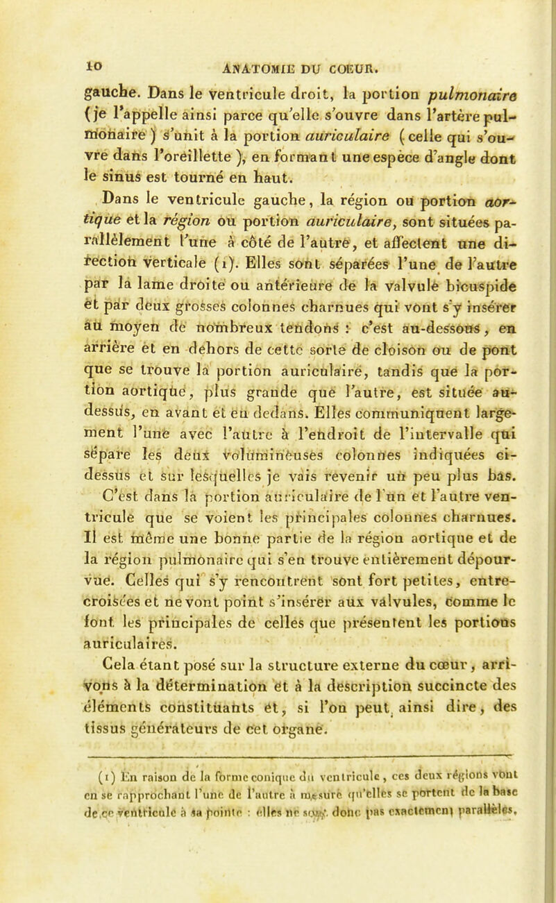 gauche. Dans le ventricule droit, la portion pulmoricare (je l'appelle ainsi parce quelle s'ouvre dans l'artère pul- monaire ) ^'unit à la portion auriculaire (. celle qui s'ou- vre dans l'oreillette ), en formant une espèce d'angle dont le sinus est tourné en haut. Dans le ventricule gauche, la région ou portion aor-^ tiqûe et la région oti portion auriculaire, sont situées pa- rallèlement l'une à côté de l'autrè, et affectent «ne di- rection verticale (i). Elles sont séparées l'une de l'auU-e par là lame drôitéou aritévieùre de la valvulè bicuspide êt par deux grosses colonnes charnues qui vont s'y insérer âù moyen dé nombreux tendons : c'est au-desséos, ea. arrière èt en dehors de cette sorte de cloison ou de pont que se trouve la portion auriculaire, tandis que la por* tion aortiqûe, plus graude que l'autre, est située au- dessus, en avant et en dedans. Elles communiquent large- ment l'une avec l'aUtrc à l'ehdroit de l'intervalle qui sëparc les deîli Voluniirièuses colonnes indiquées ci- dessus et àur lesquelles je vais revenir un peu plus bas. C'èst dans là portion ani iculaire de 1 Un et l'autre ven- tricule que se voient les principales colonnes charnues. 11 est inôiTie une bonne partie de la région aortique et de la région pulmonaire qui s'en trouve entièrement dépour- vùé. Celles qui s'y rencontrent sOnl fort petites, entre- ctoiic'eset ne vont point s'insérer aux vâlvules, comme le font les principales de celles que présentent les portions auriculairefî. Gela étant posé sur la structure externe du cœur, arri- vons à la détermination et à la description succincte des éléments cohstitùahts et, si l'on peut, ainsi dire, des tissus générateurs de cet organè. (i) En raison de la (brnie conique tlii ventricule , ces deux régions vbnl en se rapprbchaDl l'une de l'autre à nj,4sùrfe qn'fellès se phttent de la base de,€?C;Venlt-iculc à «a ^oirtte : ftlifts mi ntyi^: dohc i»as csacltmcn^ parallèles.