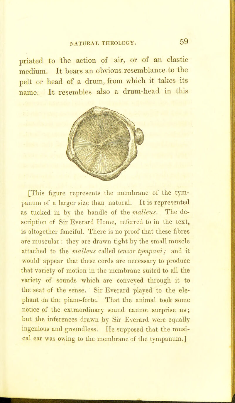 priated to the action of air, or of an elastic medium. It bears an obvious resemblance to the pelt or head of a drum, from which it takes its name. It resembles also a drum-head in this [This figure represents the membrane of the tym- panum of a larger size than natural. It is represented as tucked in by the handle of the malleus. The de- scription of Sir Everard Home, referred to in the text, is altogether fanciful. There is no proof that these fibres are muscular : they are drawn tight by the small muscle attached to the malleus called tensor tympani; and it would appear that these cords are necessary to produce that variety of motion in the membrane suited to all the variety of sounds which are conveyed through it to the seat of the sense. Sir Everard played to the ele- phant on the piano-forte. That the animal took some notice of the extraordinary sound cannot surprise us; but the inferences drawn by Sir Everard were equally ingenious and groundless. He supposed that the musi- cal ear was owing to the membrane of the tympanum.]