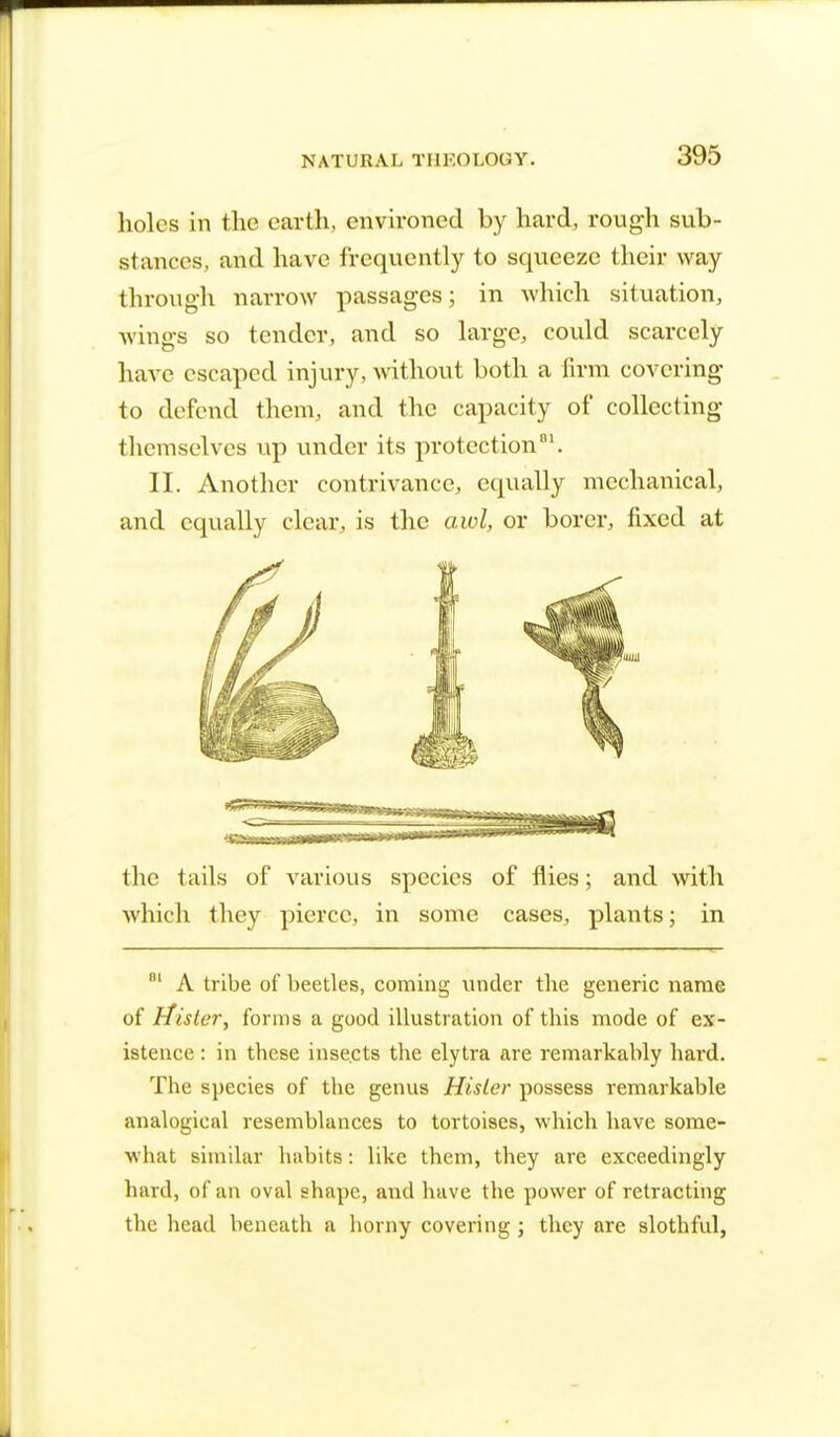 holes in the earth, environed by hard, rough sub- stances, and have frequently to squeeze their way through narrow passages; in which situation, wings so tender, and so large, could scarcely have escaped injury, without both a firm covering to defend them, and the capacity of collecting themselves up under its protection01. II. Another contrivance, equally mechanical, and equally clear, is the awl, or borer, fixed at the tails of various species of flies; and with which they pierce, in some cases, plants; in 81 A tribe of beetles, coming under the generic name of Mister, forms a good illustration of this mode of ex- istence : in these insects the elytra are remarkably hard. The species of the genus Mister possess remarkable analogical resemblances to tortoises, which have some- what similar habits: like them, they are exceedingly hard, of an oval shape, and have the power of retracting the head beneath a horny covering; they are slothful,