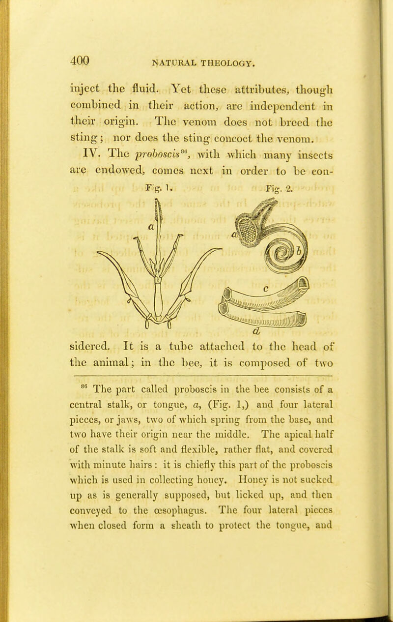 inject the fluid. Yet these attributes, though combined in their action, are independent in their origin. The venom does not breed the sting*; nor does the sting concoct the venom. IV. The proboscis™, with which many insects are endowed, comes next in order to be con- sidered. It is a tube attached to the head of the animal; in the bee, it is composed of two 86 The part called proboscis in the bee consists of a central stalk, or tongue, a, (Fig. 1,) and four lateral pieces, or jaws, two of which spring from the base, and two have their origin near the middle. The apical half of the stalk is soft and flexible, rather flat, and covered with minute hairs : it is chiefly this part of the proboscis which is used in collecting honey. Honey is not sacked up as is generally supposed, hut licked up, and then conveyed to the oesophagus. The four lateral pieces when closed form a sheath to protect the tongue, aud