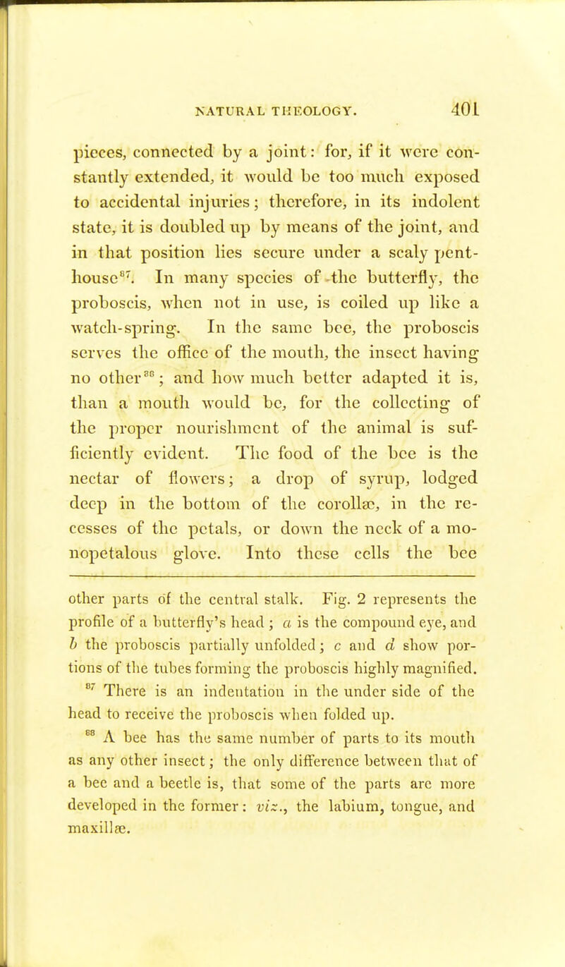 pieces, connected by a joint: for, if it were con- stantly extended, it would be too much exposed to accidental injuries; therefore, in its indolent state, it is doubled up by means of the joint, and in that position lies secure under a scaly pent- house87. In many species of -the butterfly, the proboscis, when not in use, is coiled up like a watch-spring. In the same bee, the proboscis serves the office of the mouth, the insect having no other80; and how much better adapted it is, than a mouth would be, for the collecting of the proper nourishment of the animal is suf- ficiently evident. The food of the bee is the nectar of flowers; a drop of syrup, lodged deep in the bottom of the corollsc, in the re- cesses of the petals, or down the neck of a mo- nopetalous glove. Into these cells the bee other parts of the central stalk. Fig. 2 represents the profile of a butterfly's head ; a is the compound eye, and b the proboscis partially unfolded; c and d show por- tions of the tubes forming the proboscis highly magnified. 07 There is an indentation in the under side of the head to receive the proboscis when folded up. 88 A bee has the same number of parts to its mouth as any other insect; the only difference between that of a bee and a beetle is, that some of the parts are more developed in the former: viz.', the labium, tongue, and maxillae.