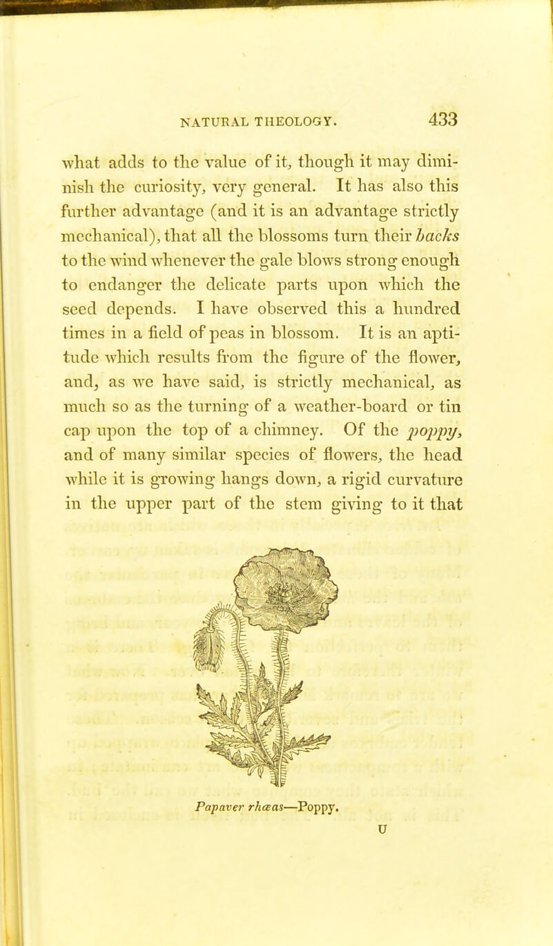 what adds to the value of it, though it may dimi- nish the curiosity, very general. It has also this further advantage (and it is an advantage strictly mechanical), that all the blossoms turn their backs to the wind whenever the gale blows strong enough to endanger the delicate parts upon which the seed depends. I have observed this a hundred times in a field of peas in blossom. It is an apti- tude which results from the figure of the flower, and, as we have said, is strictly mechanical, as much so as the turning of a weather-board or tin cap upon the top of a chimney. Of the poppy, and of many similar species of flowers, the head while it is growing hangs down, a rigid curvature in the upper part of the stem giving to it that Papaver rhaas—Poppy. U
