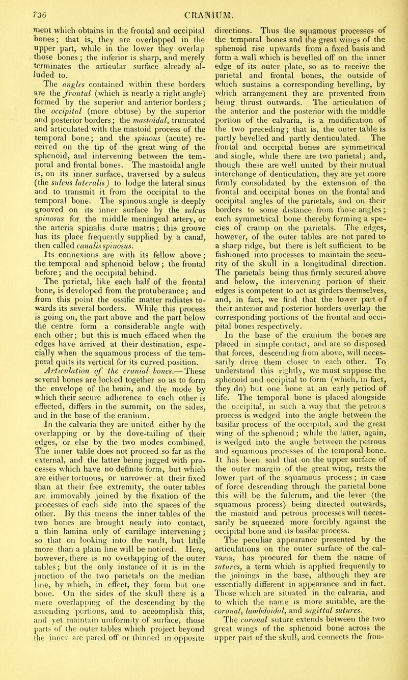 ment which obtains in the frontal and occipital bones; that is, they are overlapped in the upper part, while in the lower they overlap those bones ; the inferior is sharp, and merely terminates the articular surface already al- luded to. The angles contained within these borders are the frontal (which is nearly a right angle) formed by the superior and anterior borders; the occipital (more obtuse) by the superior and posterior borders; the mastoidal, truncated and articulated with the mastoid process of the temporal bone; and the spinous (acute) re- ceived on the tip of the great wing of the sphenoid, and intervening between the tem- poral and frontal bones. The mastoidal angle is, on its inner surface, traversed by a sulcus (the sulcus lateralis) to lodge the lateral sinus and to transmit it from the occipital to the temporal bone. The spinous angle is deeply grooved on its inner surface by the sulcus spinosus for the middle meningeal artery, or the arteria spinalis dura matris; this groove has its place frequently supplied by a canal, then called canalis spinosus. Its connexions are with its fellow above; the temporal and sphenoid below; the frontal before; and the occipital behind. The parietal, like each half of the frontal bone, is developed from the protuberance; and from this point the ossific matter radiates to- wards its several borders. While this process is going on, the part above and the part below the centre form a considerable angle with each other; but this is much effaced when the edges have arrived at their destination, espe- cially when the squamous process of the tem- poral quits its vertical for its curved position. Articulation of the cranial bones.— These several bones are locked together so as to form the envelope of the brain, and the mode by which their secure adherence to each other is effected, differs in the summit, on the sides, and in the base of the cranium. In the calvaria they are united either by the overlapping or by the dove-tailing of their edges, or else by the two modes combined. The inner table does not proceed so far as the external, and the latter being jagged with pro- cesses which have no definite form, but which are either tortuous, or narrower at their fixed than at their free extremity, the outer tables are immovably joined by the fixation of the processes of each side into the spaces of the other. By this means the inner tables of the two bones are brought nearly into contact, a thin lamina only of cartilage intervening; so that on looking into the vault, but little more than a plain line will be noticed. Here, however, there is no overlapping of the outer tables; but the only instance of it is in the junction of the two parieta'.s on the median line, by which, in effect, they form but one bone. On the sides of the skull there is a mere overlapping of the descending by the ascending portions, and to accomplish this, and yet maintain uniformity of surface, those parts of the outer tables which project beyond the inner are pared off or thinned in opposite directions. Thus the squamous processes of the temporal bones and the great wings of the sphenoid rise upwards from a fixed basis and form a wall which is bevelled off on the inner edge of its outer plate, so as to receive the parietal and frontal bones, the outside of which sustains a corresponding bevelling, by which arrangement they are prevented from being thrust outwards. The articulation of the anterior and the posterior with the middle portion of the calvaria, is a modification of the two preceding; that is, the outer table is partly bevelled and partly denticulated. The frontal and occipital bones are symmetrical and single, while there are two parietal; and, though these are well united by their mutual interchange of denticulation, they are yet more firmly consolidated by the extension of the frontal and occipital bones on the frontal and occipital angles of the parietals, and on their borders to some distance from those angles; each symmetrical bone thereby forming a spe- cies of cramp on the parietals. The edges, however, of the outer tables are not pared to a sharp ridge, but there is left sufficient to be fashioned into processes to maintain the secu- rity of the skull in a longitudinal direction. The parietals being thus firmly secured above and below, the intervening portion of their edges is competent to act as girders themselves, and, in fact, we find that the lower part of their anterior and posterior borders overlap the corresponding portions of the frontal and occi- pital bones respectively. In the base of the cranium the bones are placed in simple contact, and are so disposed that forces, descending from above, will neces- sarily drive them closer to each other. To understand this rightly, we must suppose the sphenoid and occipital to form (which, in fact, they do) but one bone at an early period of life. The temporal bone is placed alongside the occipital, in such a way that the petrous process is wedged into the angle between the basilar process of the occipital, and the great wing of the sphenoid ; while the latter, again, is wedged into the angle between the petrous and squamous processes of the temporal bone. It has been said that on the upper surface of the outer margin of the great wing, rests the lower part of the squamous process ; in case of force descending through the parietal bone this will be the fulcrum, and the lever (the squamous process) being directed outwards, the mastoid and petrous processes will neces- sarily be squeezed more forcibly against the occipital bone and its basilar process. The peculiar appearance presented by the articulations on the outer surface of the cal- varia, has procured for them the name of sutures, a term which is applied frequently to the joinings in the base, although they are essentially different in appearance and in fact. Those winch are situated in the calvaria, and to which the name is more suitable, are the coronal, lambdoiclul, and sagittal sutures. The coronal suture extends between the two great wings of the sphenoid bone across the upper part of the skull, and connects the fron-