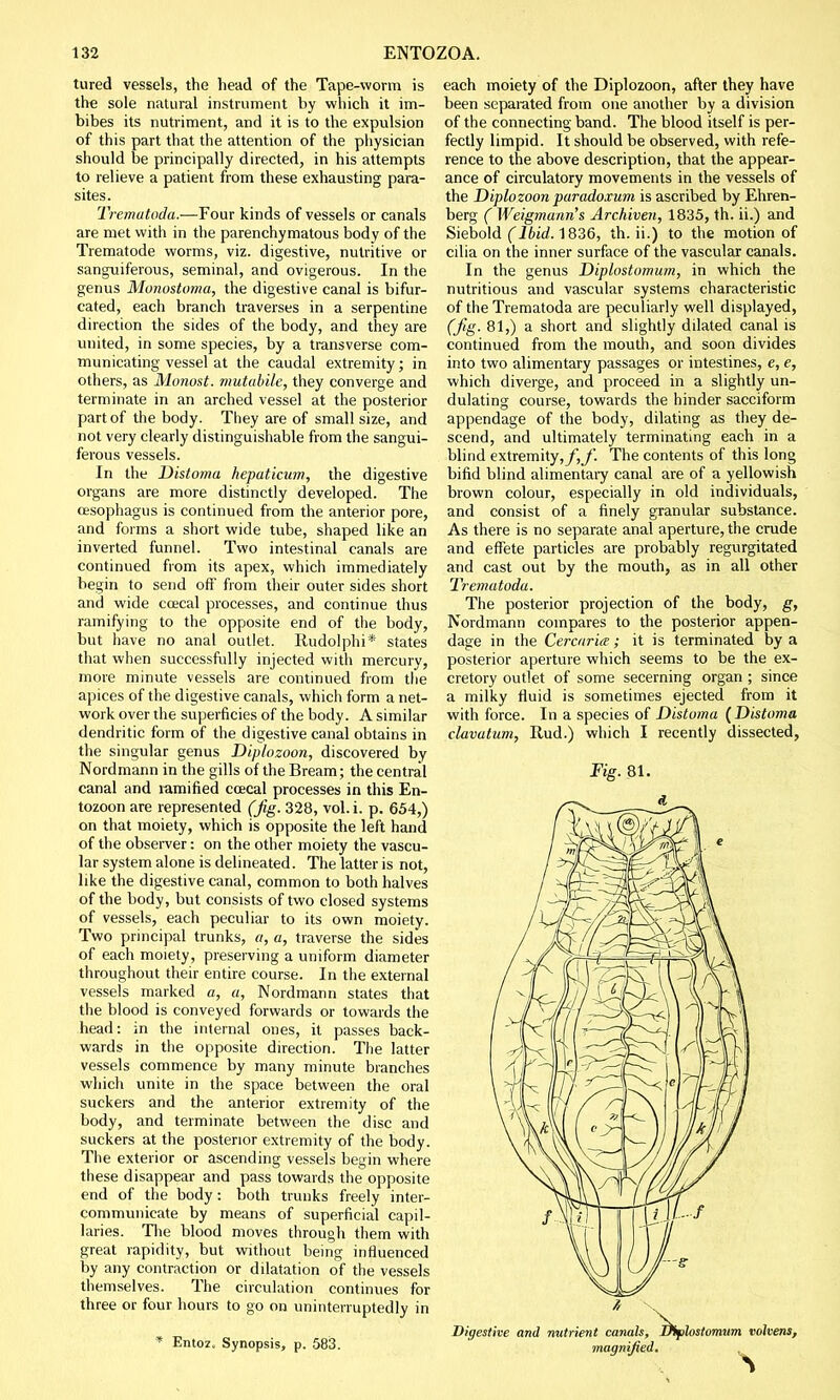 tured vessels, the head of the Tape-worm is the sole natural instrument by which it im- bibes its nutriment, and it is to the expulsion of this part that the attention of the physician should be principally directed, in his attempts to relieve a patient from these exhausting para- sites. Trematoda.—Four kinds of vessels or canals are met with in the parenchymatous body of the Trematode worms, viz. digestive, nutritive or sanguiferous, seminal, and ovigerous. In the genus Monostoma, the digestive canal is bifur- cated, each branch traverses in a serpentine direction the sides of the body, and they are united, in some species, by a transverse com- municating vessel at the caudal extremity; in others, as Monost. mutabile, they converge and terminate in an arched vessel at the posterior part of the body. They are of small size, and not very clearly distinguishable from the sangui- ferous vessels. In the Distoma hepaticum, the digestive organs are more distinctly developed. The oesophagus is continued from the anterior pore, and forms a short wide tube, shaped like an inverted funnel. Two intestinal canals are continued from its apex, which immediately begin to send off from their outer sides short and wide ccecal processes, and continue thus ramifying to the opposite end of the body, but have no anal outlet. Rudolphi* states that when successfully injected with mercury, more minute vessels are continued from the apices of the digestive canals, which form a net- work over the superficies of the body. A similar dendritic form of the digestive canal obtains in the singular genus Diplozoon, discovered by Nordmann in the gills of the Bream; the central canal and ramified ccecal processes in this En- tozoon are represented (Jig. 328, vol.i. p. 654,) on that moiety, which is opposite the left hand of the observer: on the other moiety the vascu- lar system alone is delineated. The latter is not, like the digestive canal, common to both halves of the body, but consists of two closed systems of vessels, each peculiar to its own moiety. Two principal trunks, a, a, traverse the sides of each moiety, preserving a uniform diameter throughout their entire course. In the external vessels marked a, a, Nordmann states that the blood is conveyed forwards or towards the head: in the internal ones, it passes back- wards in the opposite direction. The latter vessels commence by many minute branches which unite in the space between the oral suckers and the anterior extremity of the body, and terminate between the disc and suckers at the posterior extremity of the body. The exterior or ascending vessels begin where these disappear and pass towards the opposite end of the body: both trunks freely inter- communicate by means of superficial capil- laries. The blood moves through them with great rapidity, but without being influenced by any contraction or dilatation of the vessels themselves. The circulation continues for three or four hours to go on uninterruptedly in * Entoz, Synopsis, p. 583. each moiety of the Diplozoon, after they have been separated from one another by a division of the connecting band. The blood itself is per- fectly limpid. It should be observed, with refe- rence to the above description, that the appear- ance of circulatory movements in the vessels of the Diplozoon paradoxum is ascribed by Ehren- berg ( Weigmann's Arckiven, 1835, th. ii.) and Siebold (Ibid. 1836, th. ii.) to the motion of cilia on the inner surface of the vascular canals. In the genus Diplostomum, in which the nutritious and vascular systems characteristic of the Trematoda are peculiarly well displayed, (fig. 81,) a short and slightly dilated canal is continued from the mouth, and soon divides into two alimentary passages or intestines, e, e, which diverge, and proceed in a slightly un- dulating course, towards the hinder sacciform appendage of the body, dilating as they de- scend, and ultimately terminating each in a blind extremity, f,f. The contents of this long bifid blind alimentary canal are of a yellowish brown colour, especially in old individuals, and consist of a finely granular substance. As there is no separate anal aperture, the crude and effete particles are probably regurgitated and cast out by the mouth, as in all other Trematoda. The posterior projection of the body, g, Nordmann compares to the posterior appen- dage in the Cercaria; it is terminated by a posterior aperture which seems to be the ex- cretory outlet of some secerning organ ; since a milky fluid is sometimes ejected from it with force. In a species of Distoma (Distoma clavatum, Rud.) which I recently dissected, Fig. 81.