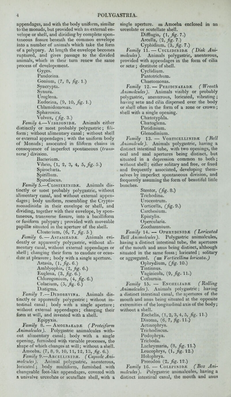 appendages, and with the body uniform, similar to the monads, but provided with an external en- velope or shell, and dividing by complete spon- taneous fissure beneath the common envelope into a number of animals which take the form of a polypary. At length the envelope beconies ruptured, and gives passage to the divided animals, which in their turn renew the same process of developement. Gyges. Pandorina. Gonium, (7, 8, fig. 1.) Syncrypta. Synura. Uroglena. Eudorina, (9, 10, fg. 1.) Chlamidomoiias. Sphserosira. Volvox, (fig. 3.) Familt/ 4.—V'^ibrionid^. Animals either distinctly or most probably polygastric; fili- form ; without alimentary canal; witliout shell or external appendages ; with the uniform body of Monads; associated in filiform chains in consequence of imperfect spontaneous {tra)is- verse) division. Bacterium. Vibrio, (1, 2, 3, 4, 5,/-. 5.) S pi roc h seta. Spirillum. Spirodiscus. Family 5.—Clostehinid^. Animals dis- tinctly or most probably polygastric, without alimentary canal, and without external appen- dages; body uniform, resembling the Crypto- monadinidag in their envelope or shell, and dividing, together with their envelope, by spon- taneous, transverse fissure, into a bacilliform or fusiform polypary ; provided with moveable papillae situated in the aperture of the shell. Closteiium, (6, 7, fig. 5 ) Familj/ 6. — Astasiead>e. Animals evi- dently or apparently polygastric, without ali- mentary canal, without external appendages or shell; changing their form to caudate or ecau- date at pleasure; body with a single aperture. Astasia, {I, fig. 6.) Amblyophisj (2, fig. 6.) Euglena, (3, /-.6.) Chlorogonium, {i, fig-Q.) Colacium, (5, fig. 6.) Distigma. Family 7.— Dinobryina. Animals dis- tinctly or apparently polygastric ; without in- testinal canal; body with a single aperture; without external appendages; changing their form at will, and invested with a shell. Epipyxis. Family 8. — Amoebaead^ (Proteiform Animalcules). Polygastric animalcules with- out alimentary canal; body with a single opening, furnished with variable processes, the shape of which changes at will; without a shell. Amoeba, (7, 8, 9, 10, 11, 12, 13, fig. 6.) Family 9.—Arcellinid*. (Capsule Ani- jnalcules). Animal polygastric, anenterous, loricated ; body multiform, furnished with changeable foot-like appendages, covered with a univalve urceolate or scutellate shell, with a single aperture. = Amoeba enclosed in an urceolate or scutellate shell. Difflugia, (l,^g. 7.) Arcella, (2, fig. 7.) Cyphidium, (3, fig. 7.) Family 11. — Cyclidinid^ (Disk Ani- malcules). Animals polygastric, anenterous, provided with appendages in the form of cilia or setae ; destitute of shell. Cyclidium. Pantotrichura. Chaetomonas. Family 12.— Peridinaead.?: (Wreath Animalcules). Animals visibly or probably polygastric, anenterous, loricated, vibrating; having setae and cilia dispersed over the body or shell often in the form of a zone or crown; shell with a single opening. Chaetotyphla. Chaetoglena. Peridinium. Glenodinium. Family 13. — Vorticellinid.?: (Bell Animalcule). Animals polygastric, having a distmct intestinal tube, with two openings, the oral and anal apertures being distinct, but situated in a depression common to both; without shell; either solitary and free, or fixed and frequently associated, developing them- selves by imperfect spontaneous division, and frequently assuming the form of beautiful little bunches. Stentor, (fig. 8.) Trichodina. Urocentrum. Vorticella, (fig. 9.) Carchesium. Epistylis. Opercularia. Zoothamnium. Family 14. — Ophrydinid.i (Loricated Bell Animalcules). Polygastric animalcules, having a distinct intestinal tube, the apertures of the mouth and anus being distinct, although situated in the same fossa; loricated; solitary or aggregated. (= VurticelUna loricatu.) Ophrydium, (fig. 10.) Tintinnus. Vaginicola, {9, fig. 11.) Cothurnia. Family 15. — Ekcheliad^; (Rolling Animalcules). Animals polygastric; having a distinct intestinal canal, the apertures of the mouth and anus being situated at the opposite extremities of the longitudinal axis of the body; without a shell, Enchelis, (1,2, 3,4,5,.^^'. 11.) Disoma, (6, 7, fig. 11.) Actinophrys. Trichodiscus. Podophiya. Trichoda. Lachrymaria, (8, fig. 11.) Leucophrys, {I, fig. 12.) Holophrya. Prorodon {2, fig. 12.) Family 16. — Coi.EPiNio.t (Box Ani- malcules). Polygastric animalcules, having a distinct intestinal canal, the mouth and anus