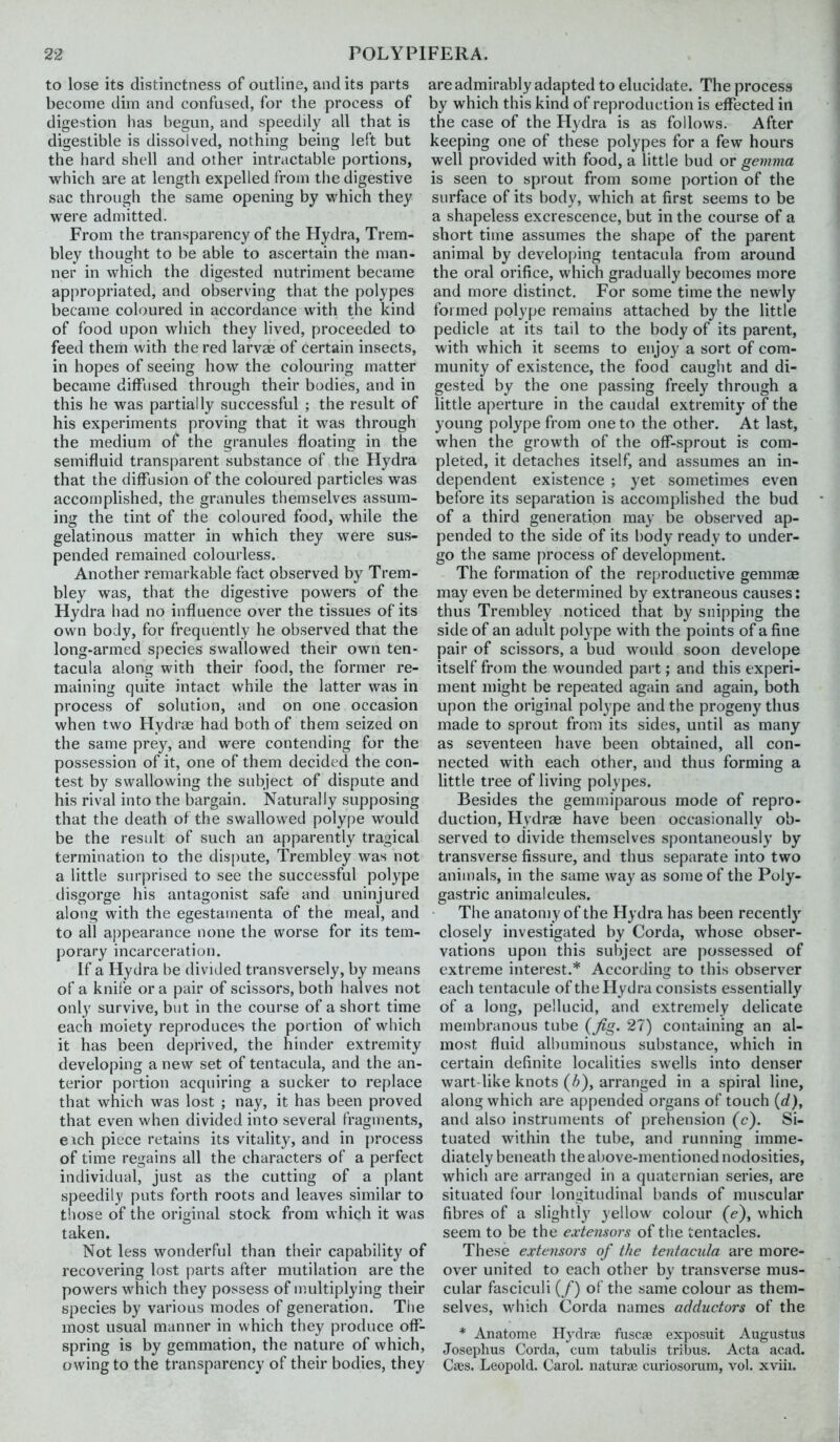 to lose its distinctness of outline, audits parts become dim and confused, for the process of digestion has begun, and speedily all that is digestible is dissolved, nothing being left but the hard shell and other intractable portions, which are at length expelled from the digestive sac through the same opening by which they were admitted. From the transparency of the Hydra, Trem- bley thought to be able to ascertain the man- ner in which the digested nutriment became appropriated, and observing that the polypes became coloured in accordance with the kind of food upon which they lived, proceeded to feed them with the red larvae of certain insects, in hopes of seeing how the colouring matter became diffused through their bodies, and in this he was partially successful ; the result of his experiments proving that it was through the medium of the granules floating in the semifluid transparent substance of the Hydra that the diffusion of the coloured particles was accomplished, the granules themselves assum- ing the tint of the coloured food, while the gelatinous matter in which they were sus- pended remained colourless. Another remarkable fact observed by Trem- bley was, that the digestive powers of the Hydra had no influence over the tissues of its own body, for frequently he observed that the long-armed species swallowed their own ten- tacula along with their food, the former re- maining quite intact while the latter was in process of solution, and on one occasion when two Hydrae had both of thera seized on the same prey, and were contending for the possession of it, one of them decided the con- test by swallowing the subject of dispute and his rival into the bargain. Naturally supposing that the death of the swallowed polype would be the result of such an apparently tragical termination to the dispute, Trembley was not a little surprised to see the successful polype disgorge his antagonist safe and uninjured along with the egestainenta of the meal, and to all appearance none the worse for its tem- porary incarceration. If a Hydra be divided transversely, by means of a knife or a pair of scissors, both halves not only survive, but in the course of a short time each moiety reproduces the portion of which it has been deprived, the hinder extremity developing a new set of tentacula, and the an- terior portion acquiring a sucker to replace that which was lost ; nay, it has been proved that even when divided into several fragments, eich piece retains its vitality, and in [)rocess of time regains all the characters of a perfect individual, just as the cutting of a plant speedily puts forth roots and leaves similar to tliose of the original stock from M'hich it was taken. Not less wonderful than their capability of recovering lost parts after mutilation are the powers which they possess of multiplying their species by various modes of generation. The most usual manner in which they produce off- spring is by gemmation, the nature of which, owing to the transparency of their bodies, they are admirably adapted to elucidate. The process by which this kind of reproduction is effected in the case of the Hydra is as follows. After keeping one of these polypes for a few hours well provided with food, a little bud or gemma is seen to sprout from some portion of the surface of its body, which at first seems to be a shapeless excrescence, but in the course of a short time assumes the shape of the parent animal by developing tentacula from around the oral orifice, which gradually becomes more and more distinct. For some time the newly formed polype remains attached by the little pedicle at its tail to the body of its parent, with which it seems to enjoy a sort of com- munity of existence, the food caught and di- gested by the one passing freely through a little aperture in the caudal extremity of the young polype from one to the other. At last, when the growth of the off-sprout is com- pleted, it detaches itself, and assumes an in- dependent existence ; yet sometimes even before its separation is accomplished the bud of a third generation may be observed ap- pended to the side of its body ready to under- go the same process of development. The formation of the reproductive gemmae may even be determined by extraneous causes: thus Trembley noticed that by snipping the side of an adult polype with the points of a fine pair of scissors, a bud would soon develope itself from the wounded part; and this experi- ment might be repeated again and again, both upon the original polype and the progeny thus made to sprout from its sides, until as many as seventeen have been obtained, all con- nected with each other, and thus forming a httle tree of living polypes. Besides the gemmiparous mode of repro- duction, Hydrae have been occasionally ob- served to divide themselves spontaneously by transverse fissure, and thus separate into two animals, in the same way as some of the Poly- gastric animalcules. The anaton)y of the Hydra has been recently closely investigated by Corda, whose obser- vations upon this subject are possessed of extreme interest.* According to this observer each tentacule of the Hydra consists essentially of a long, pellucid, and extremely delicate membranous tube {Jig. 27) containing an al- most fluid albuminous substance, which in certain definite localities swells into denser wart-like knots (/;), arranged in a spiral line, along which are appended organs of touch (rf), and also instruments of prehension (c). Si- tuated within the tube, and running imme- diately beneath the above-mentioned nodosities, which are arranged in a quatcrnian series, are situated (bur longitudinal bands of muscular fibres of a slightly yellow colour (<?), which seem to be the extensors of the tentacles. These extensors of the tentacula ai'e more- over united to each other by transverse mus- cular fasciculi (/) of the same colour as them- selves, which Corda names adductors of the * Anatome Hydrje fuscse exposuit Augustus Joseplius Corda, cum tabulis tribus. Acta acad. Cses. Leopold. Carol, naturae curiosoioim, vol. xviiu