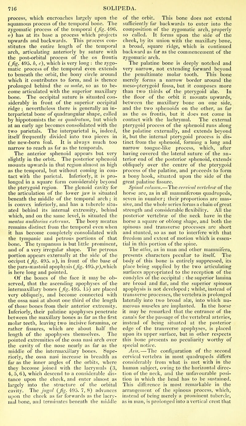process, which encroaches largely upon the squamous process of the temporal bone. The zygomatic process of the temporal {Jig. 496. o) has at its base a process which projects upwards and backwards. This process con- stitutes the entire length of the temporal arch, articulating anteriorly by suture with the post-orbital process of the os frontis (Jig. 495. b, c), which is very long : the zygo- matic process of the temporal even extends to beneath the orbit, the bony circle around which it contributes to form, and is thence prolonged behind the os mala, so as to be- come articulated with the superior maxillary bone. The occipital suture is situated con- siderably in front of the superior occipital ridge ; nevertheless there is generally an in- terparietal bone of quadrangular shape, called by hippotomists the os quadratum, but which at an early age becomes consolidated with the two parietals. The interparietal is, indeed, itself frequently divided into two pieces in the new-born foal. It is always much too narrow to reach as far as the temporals. The anterior sphenoid appears but very slightly in the orbit. The posterior sphenoid mounts upwards in that region almost as high as the temporal, but without coming in con- tact with the parietal. Inferioily, it is pro- longed in a square form considerably beyond the pterygoid region. The glenoid cavity for the articulation of the lower jaw is situated beneath the middle of the temporal arch ; it is convex inferioi ly, and has a tubercle situ- ated behind its internal extremity, behind which, and on the same level, is situated the meatus auditorius externus. The bony meatus remains distinct from the temporal even when it has become completely consolidated with the tympanic and petrous portions of that bone. The tympanum is but little prominent, and of a very irregular shape. The petrous portion appears externally at the side of the occiput (Jig. 495. u), in front of the base of the para-mastoid apophysis (Jig. 495.7;),which is here long and pointed. Of the bones of the face it may be ob- served, that the ascending apophyses of the intermaxillary bones (fig. 495. 15) are placed very obliquely, and become connected with the ossa nasi at about one third of the length of those bones from their anterior extremity. Inferior]}', their palatine apophyses penetrate between the maxillary bones as far as the first molar teeth, leaving two incisive foramina, or rather fissures, which are about half the length of the apophyses themselves. The pointed extremities of the ossa nasi arch over the cavity of the nose nearly as far as the middle of the intermaxillary bones. Supe- riorly, the ossa nasi increase in breadth as far as the inner angles of the orbits, where they become joined with the lacrymals (3, 4, 5, 6), which descend to a considerable dis- tance upon the cheek, and enter almost as largely into the structure of the orbital cavity. The jugal (Jig. 495. 7, 8) advances upon the cheek as far forwards as the lacry- mal bone, and terminates beneath the middle of the orbit. This bone does not extend sufficiently far backwards to enter into the composition of the zygomatic arch, properly so called. It forms upon the side of the cheek, by its union with the maxillary bone, a broad, square ridge, which is continued backward as far as the commencement of the zygomatic arch. The palatine bone is deeply notched and very narrow, not extending forward beyond the penultimate molar tooth. This bone merely forms a narrow border around the meso-pterygoid fossa, but it composes more than two thirds of the pterygoid alae. In the floor of the orbit it mounts upwards, between the maxillary bone on one side, and the two sphenoids on the other, as far as the os frontis, but it does not come in contact with the lachrymal. The external pterygoid process of the sphenoid runs along the palatine externally, and extends beyond it, but the internal pterygoid process is dis- tinct from the sphenoid, forming a long and narrow tongue-like process, which, after having covered the lateral suture of the an- terior end of the posterior sphenoid, extends obliquely over the centre of the pterygoid process of the palatine, and proceeds to form a bony hook, situated upon the side of the great palatine fissure. Spinal column.—The cervical vertebrtB of the horse are, as in all mammiferous quadrupeds, seven in number; their proportions are mas- sive, and the whole series forms a chain of great strength and considerable flexibility. All the posterior vertebras of the neck have in the horse a square or oblong shape, and both the spinous and transverse processes are short and stunted, so as not to interfere with that freedom and extent of motion which is essen- tial in this portion of the spine. The atlas, as in man and other mammifera, presents characters peculiar to itself. The body of this bone is entirely suppressed, its place being supplied by the two articulating surfaces appropriated to the reception of the condyles of the occipital : the superior lamina are broad and flat, and the superior spinous apophysis is not developed ; whilst, instead of transverse processes, the vertebra is prolonged laterally into two broad alae, into which nu- merous muscles are implanted. In the horse it may be remarked that the entrance of the canals for the passage of the vertebral arteries, instead of being situated at the posterior edge of the transverse apophyses, is placed upon its upper surface, but in other respects this bone presents no peculiarity worthy of special notice. Axis. — The configuration of the second cervical vertebra in most quadrupeds differs considerably from what is met with in the human subject, owing to the horizontal direc- tion of the neck, and the unfavourable posi- tion in which the head has to be sustained. This difference is most remarkable in the arrangement of the spinous process, which, instead of being merely a prominent tubercle, as in man, is prolonged into a vertical crest that