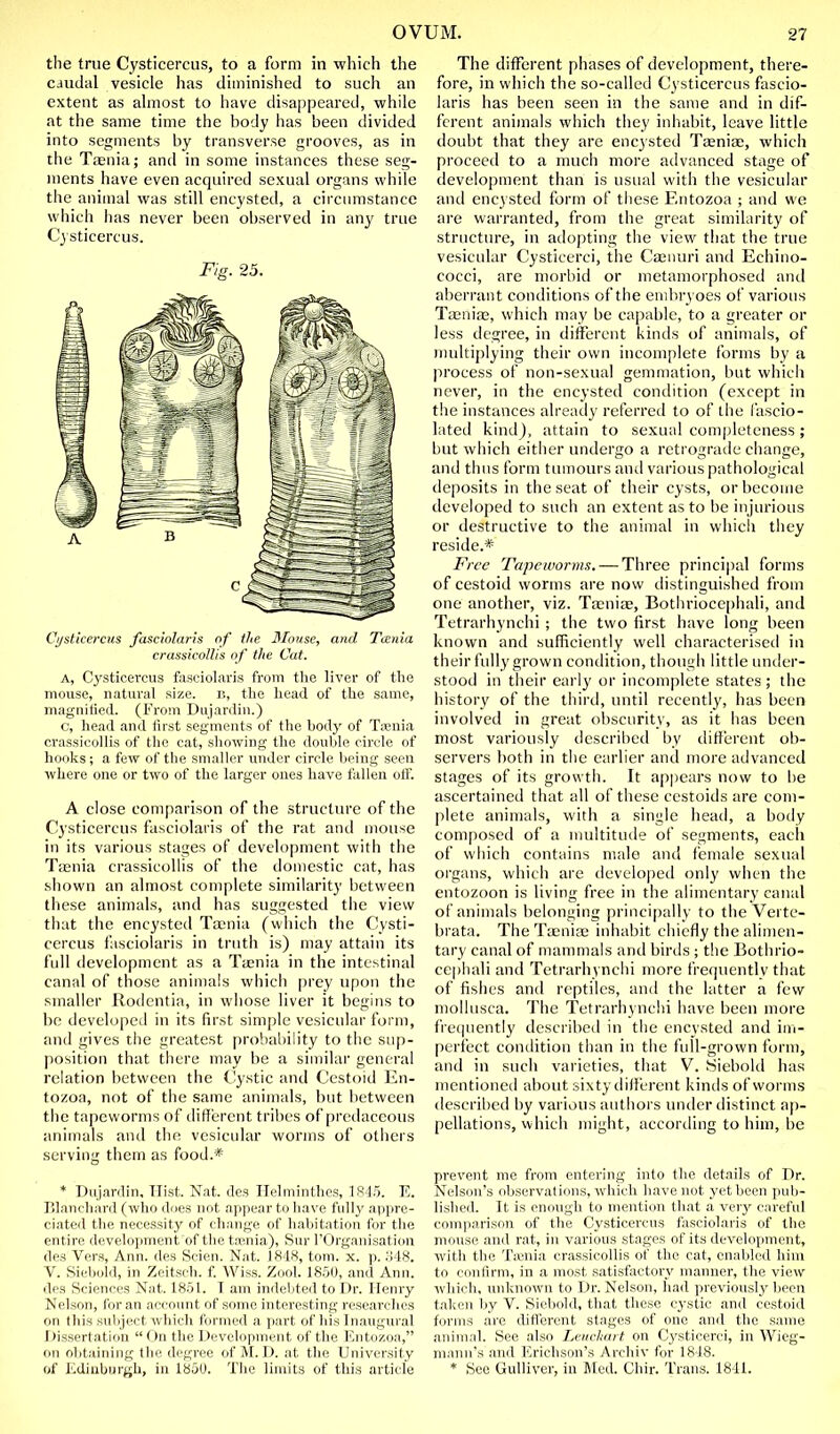 the true Cysticercus, to a form in -which the caudal vesicle has diminished to such an extent as almost to have disappeared, while at the same time the body has been divided into segments by transverse grooves, as in the Taenia; and in some instances these seg- ments have even acquired sexual organs while the animal was still encysted, a circumstance which has never been observed in any true Cysticercus. Fig. 25. Cysticercus fasciolaris of the Mouse, and Tcenia crassicolUs of the Cat. A, Cysticercus fasciolaris from the liver of the mouse, natural size, r., the head of the same, magnified. (From Dujardin.) c, head and first segments of the body of Ttenia crassicollis of the cat, showing the double circle of hooks ; a few of the smaller under circle being seen where one or two of the larger ones have fallen otf. A close comparison of the structure of the Cysticercus fasciolaris of the rat and mouse in its various stages of development with the Tcenia crassicollis of the domestic cat, has shown an almost complete similarity between these animals, and has suggested the view that the encysted Taenia (which the Cysti- cercus fasciolaris in truth is) may attain its full development as a Ttenia in the intestinal canal of those animals which pi'ey upon the smaller Rodcntia, in whose liver it begins to be developed in its first simple vesicular form, and gives the greatest probability to the sup- position that there may be a similar general relation between the tlystic and Cestoid En- tozoa, not of the same animals, but between the tapeworms of ditfercnt tribes of prcdaccous animals and the vesicular worms of others serving them as food.* * Dujardin, TTist. Nat. des Helminthcs, 1845. E. Blanchard (who docs not appear to have fully appre- ciated the necessity of change of habitation for the entire development of the tosnia), Sur I'Organisation des Vers, Ann. des Scien. Nat. 1848, torn. x. p. o48. V. Siebold, in Zeitsch. f. Wiss. Zool. 18.50, and Ann. des Sciences Nat. 18.51. T am indebted to Dr. Henry Nelson, for an account of some intei'esting researches on this subject which formed a part of his Inaugural Dissertation  On the Development of the Entozoa, on obtaining the degree of M. D. at the University of Edinburgh, in 1850. Tlic limits of this article The diflFerent phases of development, there- fore, in which the so-called Cysticercus fascio- laris has been seen in the same and in dif- ferent animals which they inhabit, leave little doubt that they are encysted Taeniae, which proceed to a much more atlvanced stage of development than is usual with the vesicular and encysted form of these Entozoa ; and we are warranted, from the great similarity of structure, in adopting the view that the true vesicular Cysticerci, the Caaiiuri and Echino- cocci, are morbid or metamorphosed and aberrant conditions of the euibryoes of various Taeniae, which may be capable, to a greater or less degree, in different kinds of animals, of multiplying their own incomplete forms by a process of non-sexual gemmation, but which never, in the encysted condition (except in the instances alreatly referreil to of the I'ascio- lated kind), attain to se.xual completeness; but which either undergo a retrogratle change, and thus form tumours and various pathological deposits in the seat of their cysts, or become developed to such an extent as to be injurious or destructive to the animal in which they reside.* Free Tapeworms. — Three princi|)al forms of cestoid worms are now distinguished from one another, viz. Taeniae, Bothrioce[)hali, and Tetrarhynchi ; the two first have long been known and sufficiently well characterised in their fully grown condition, though little under- stood in their early or incomplete states ; the history of the thirtl, until recently, has been involved in great obscurity, as it has been most variously described by different ob- servers both in the earlier and more advanced stages of its growth. It appears now to be ascertained that all of these cestoids are com- plete animals, with a single head, a body composed of a multitude of segments, each of which contains male and fiemale sexual oi'gans, which are developed only when the entozoon is living free in the alimentary canal of animals belonging principally to the Verte- brata. The Taeniae inhabit chiefly the alimen- tary canal of manmials and birds ; the Bothrio- cephali and Tetrarhynchi more frequently that of fishes and reptiles, and the latter a few mollusca. The Tetrarhynchi have been more frequently described in the encysted and im- perfect condition than in the full-grown form, and in such varieties, that V. Siebold has mentioned about .sixty different kinds of worms described by various authors under distinct ap- pellations, which might, according to him, be prevent me from entering into the details of Dr. Nelson's observations, which have not yet been pub- lished. It is enough to mention that a very careful comparison of the Cysticercus fasciolaris of the mouse and rat, in various stages of its development, with the Taenia crassicollis of the cat, enabled him to confirm, in a most satisfactory manner, the view whicli, unknown to Dr. Nelson, had previously been taken by V. Siebold, that tliesc cystic and cestoid forms are difl'erent stages of one and the same animal. See also Leucliart on Cysticerci, in Wieg- niann's and Erichson's Archiv for 1848. * See Gulliver, in Mod. Chir. Trans. 1811.