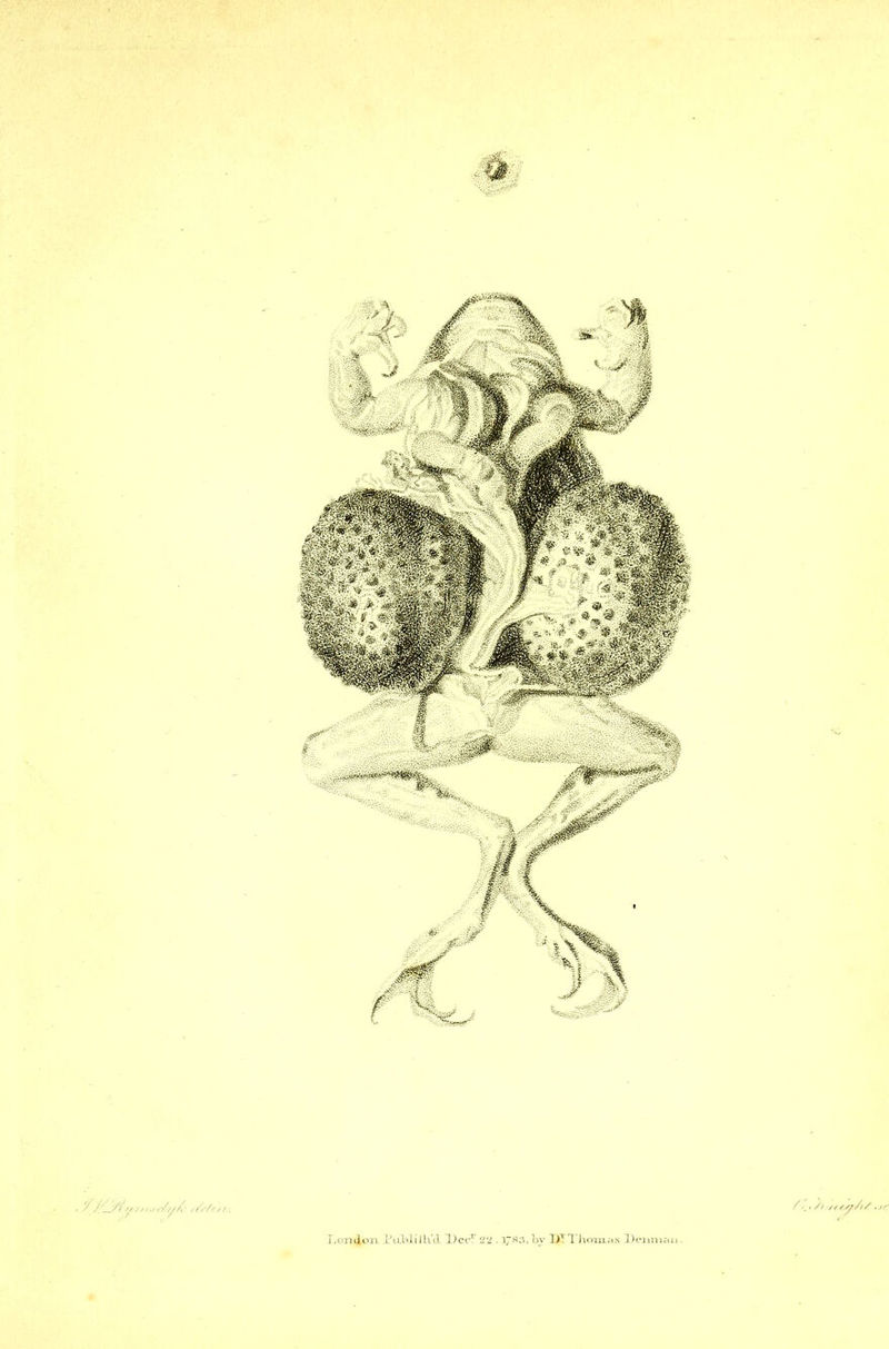 A V?. ’//7* // .,r London Tublillld. L)ecT ‘2’1.1/83, bv 1)1 Thomas Denman