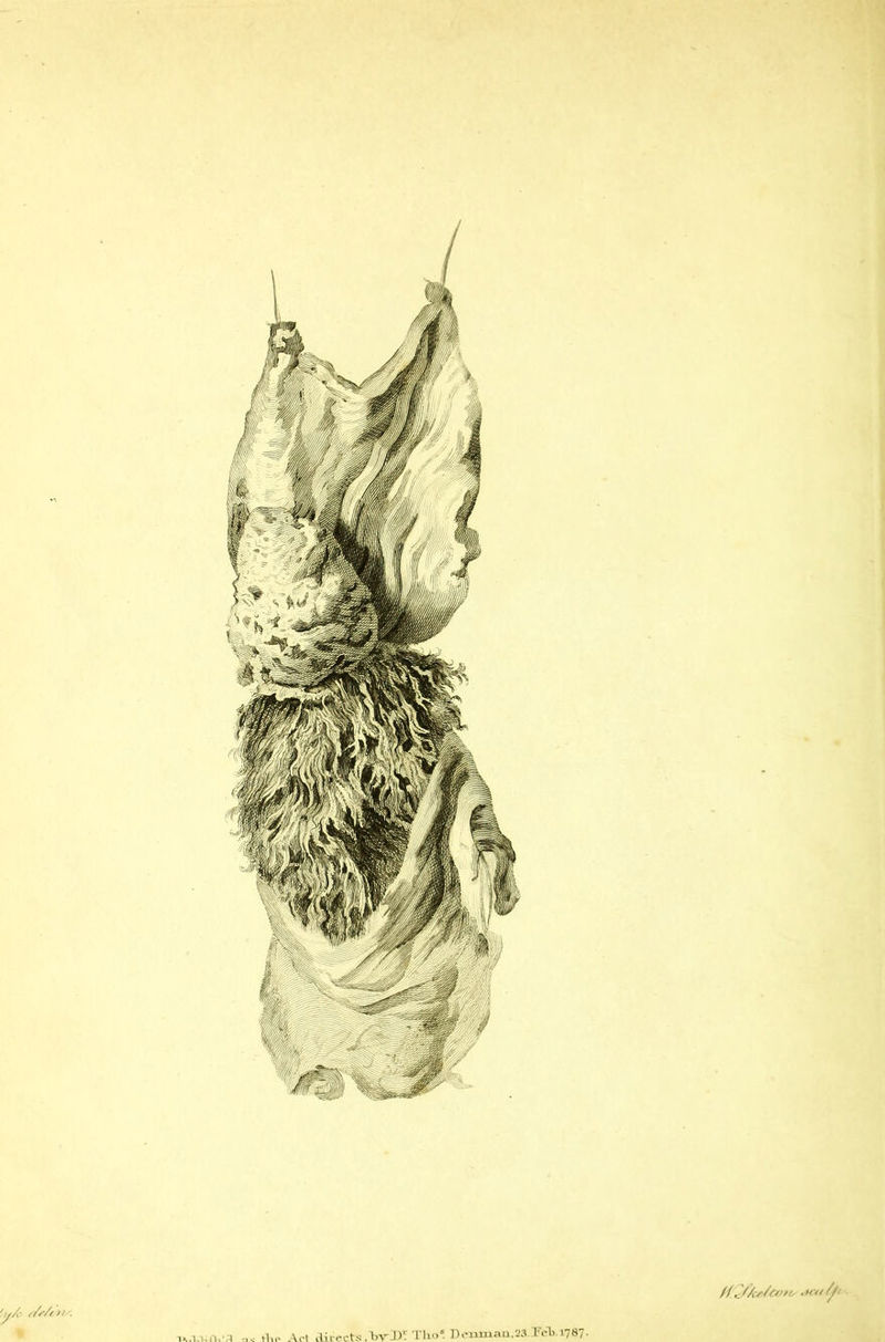 f! .JAs/tOfts c>r</ 0- 'uAe </<■/< >/ '. TVMUVa vl,o Art directs ,'brI>-Tlio*.I)o«niau.23.I'elJ.l787.