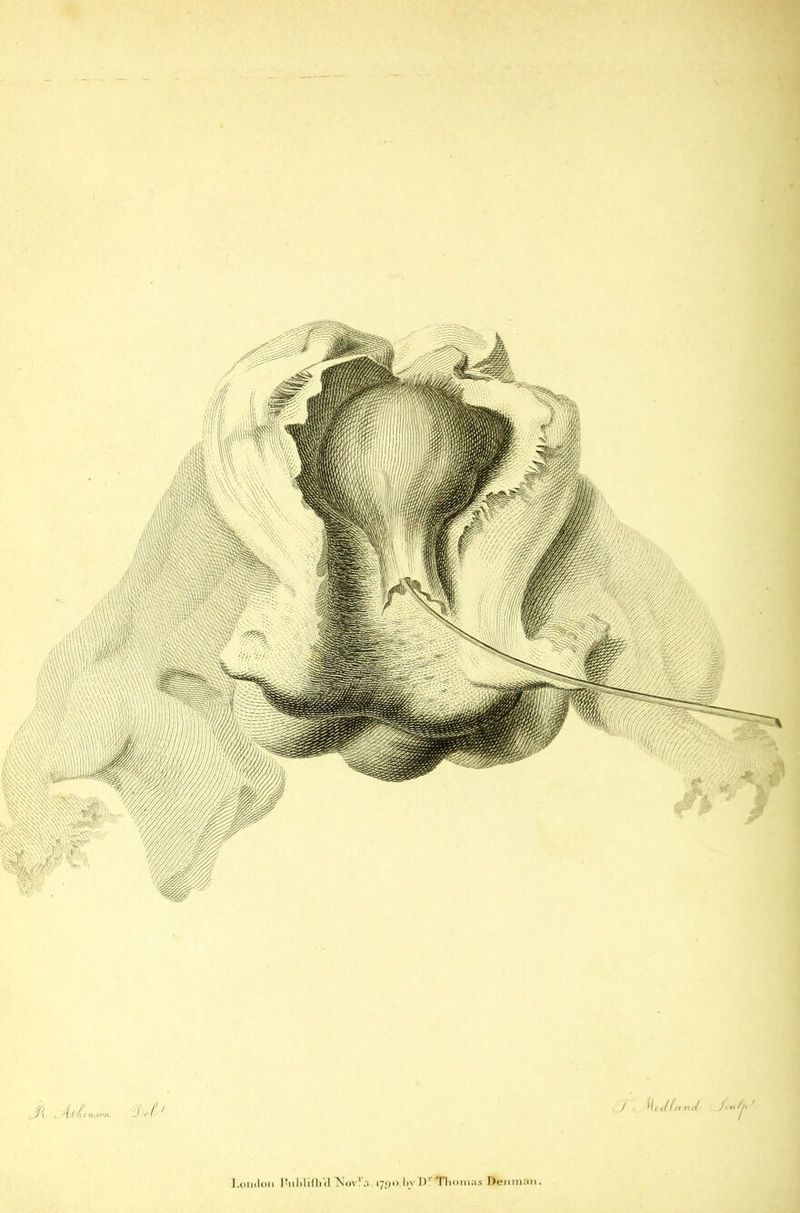 Loudon !-iil)li(b*d Novla. i7£)o.hv 1)! Thomas Don man.