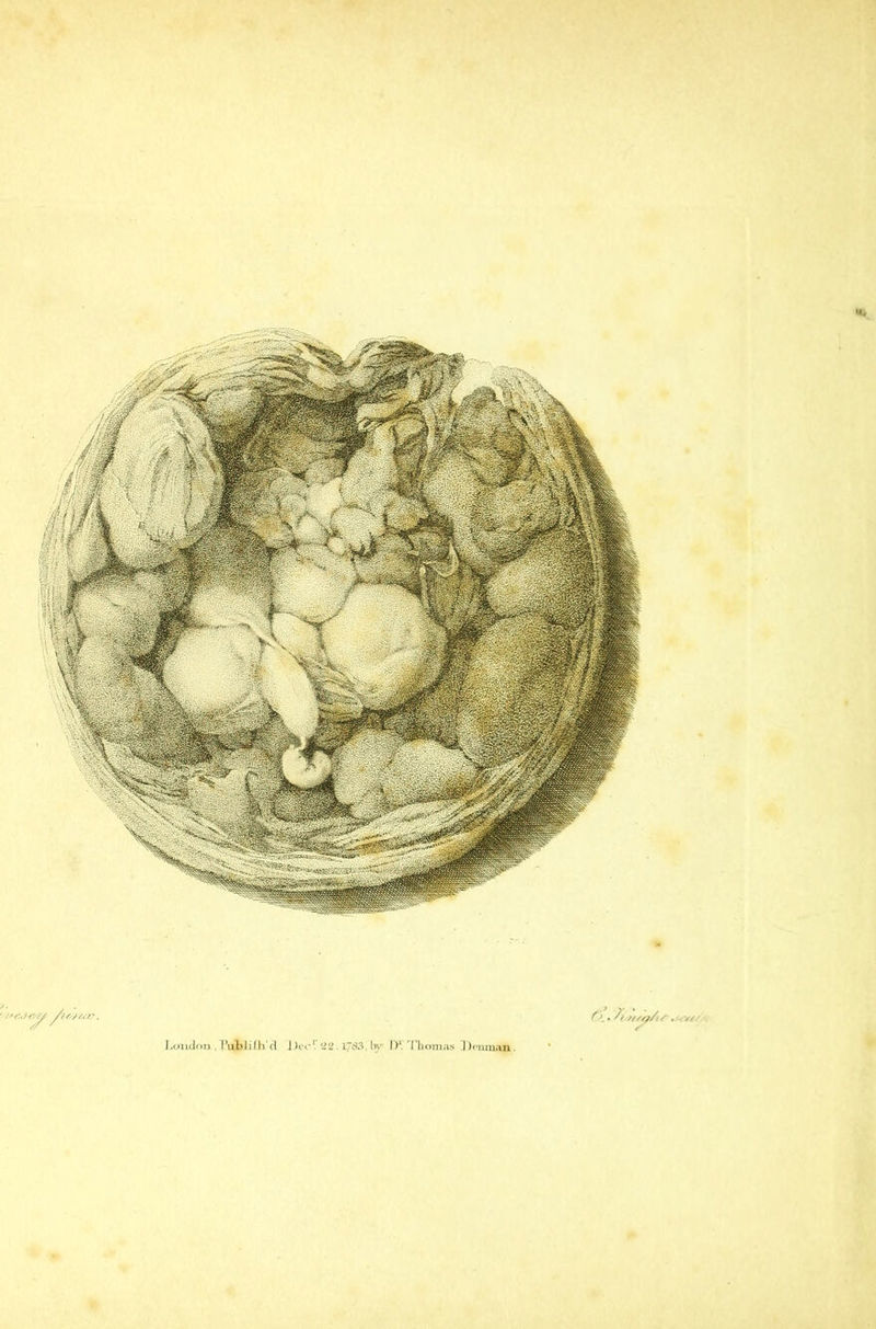 London , Publiflicl Deo1. 22. L7<?3, by I)1 Thomas ])emuan.