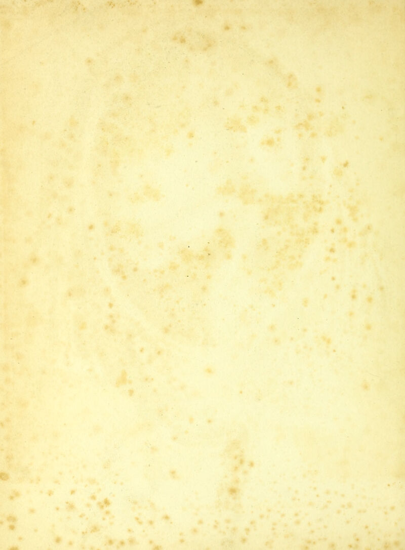 . 1 * ■ WMMUk'mm • ■ . • » f * . :*• • * - • .* * * • *'<■ . ’ rJj I* • . • * . 4 . » * • ;• # • *#* V /• * M . jM