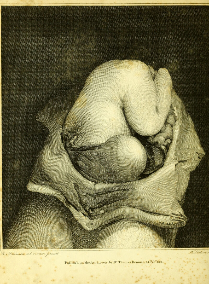 //. ‘// s//, n ./ y/.r (y/Mv