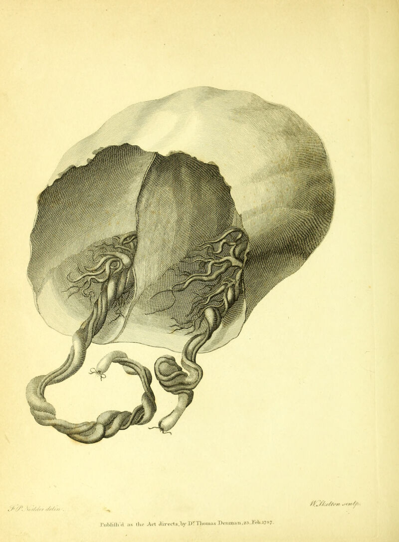 , /' '/\ \, ///,■/ i/Vui . //, //,s//<•/> .•>// I’llbliil <t as the Act direct s/bv D?Thomas Dejimau.e.v l'cl).J7S7-