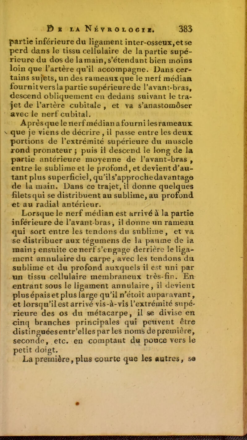 partie inférieure du ligament inter-osseux,et se perd dans le tissu cellulaire de la partie supé- rieure du dos de la main, s’étendant bien moins loin que l’artère qu’il accompagne. Dans cer- tains sujets, un des rameaux que le nerf médian fournit versla partie supérieure de l’avant-bras, descend obliquement en dedans suivant le tra- jet de l’artère cubitale , et va s’anastomoser avec le nerf cubital. Après que le nerf médian a fourni les rameaux ^ que je viens de décrire , il passe entre les deux portions de l’extrémité supérieure du muscle rond pronateur ; puis il descend le long de la partie antérieure moyenne de l’avant-bras , entre le sublime et le profond, et devient d’au- tant plus superficiel, qu’ils’approchedavantage de la main. Dans ce trajet, il donne quelques filets qui se distribuent au sublime, au profond et au radial antérieur. Lorsque le nerf médian est arrivé à la partie inférieure de l’avant-bras, il donne un rameau qui sort entre les tendons du sublime, et va se distribuer aux tégumens de la paume de la main; ensuite cenerfs’engage derrière le liga- ment annulaire du carpe, avec les tendons du sublime et du profond auxquels il est uni par un tissu cellulaire membraneux très-fin. En entrant sous le ligament annulaire, il devient plusépaisetplus large qu’il n’étoit auparavant, et lorsqu’il est arrivé vis-à-vis l’extrémité supé- rieure des os du métacarpe, il se divise en cinq branches principales qui peuvent être distinguéesentr’ellespar les noms de première, seconde, etc. en comptant du pouce vers le petit doigt. La première, plus courte que les autres, se