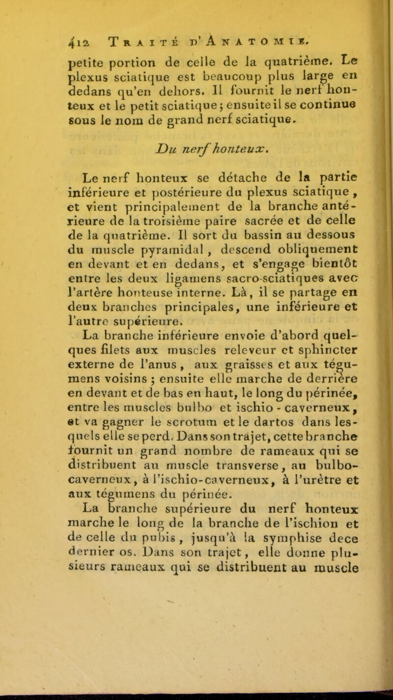 petite portion de ceile de la quatrième. Le plexus sciatique est beaucoup plus large en dedans qu’en dehors. Il fournit le nerf hon- teux et le petit sciatique ; ensuite il se continue sous le nom de grand nerf sciatique. Du nerf honteux. Le nerf honteux se détache de la partie inferieure et postérieure du plexus sciatique , et vient principalement de la branche anté- rieure de la troisième paire sacrée et de celle de la quatrième. Il sort du bassin au dessous du muscle pyramidal , descend obliquement en devant et en dedans, et s’engage bientôt entre les deux ligatnens sacro sciatiques avec l’artère honteuse interne. Là, il se partage en deux branches principales, une inferieure et l’autre supérieure. La branche inférieure envoie d’abord quel- ques filets aux muscles releveur et sphincter externe de l’anus , aux graisses et aux tégu- mens voisins ; ensuite elle marche de derrière en devant et de bas en haut, le long du périnée, entre les muscles bulbo et ischio - caverneux, et va gagner le scrotum et le dartos dans les- quels elle se perd. Dans son trajet, cette branche fournit un grand nombre de rameaux qui se distribuent au muscle transverse, au bulbo- caverneux, à l’ischio-caverneux, à l’urètre et aux téguinens du périnée. La branche supérieure du nerf honteux marche le long de la branche de l’ischion et de celle du pubis, jusqu’à la symphise dece dernier os. Dans son trajet, elle donne plu- sieurs rameaux qui se distribuent au muscle